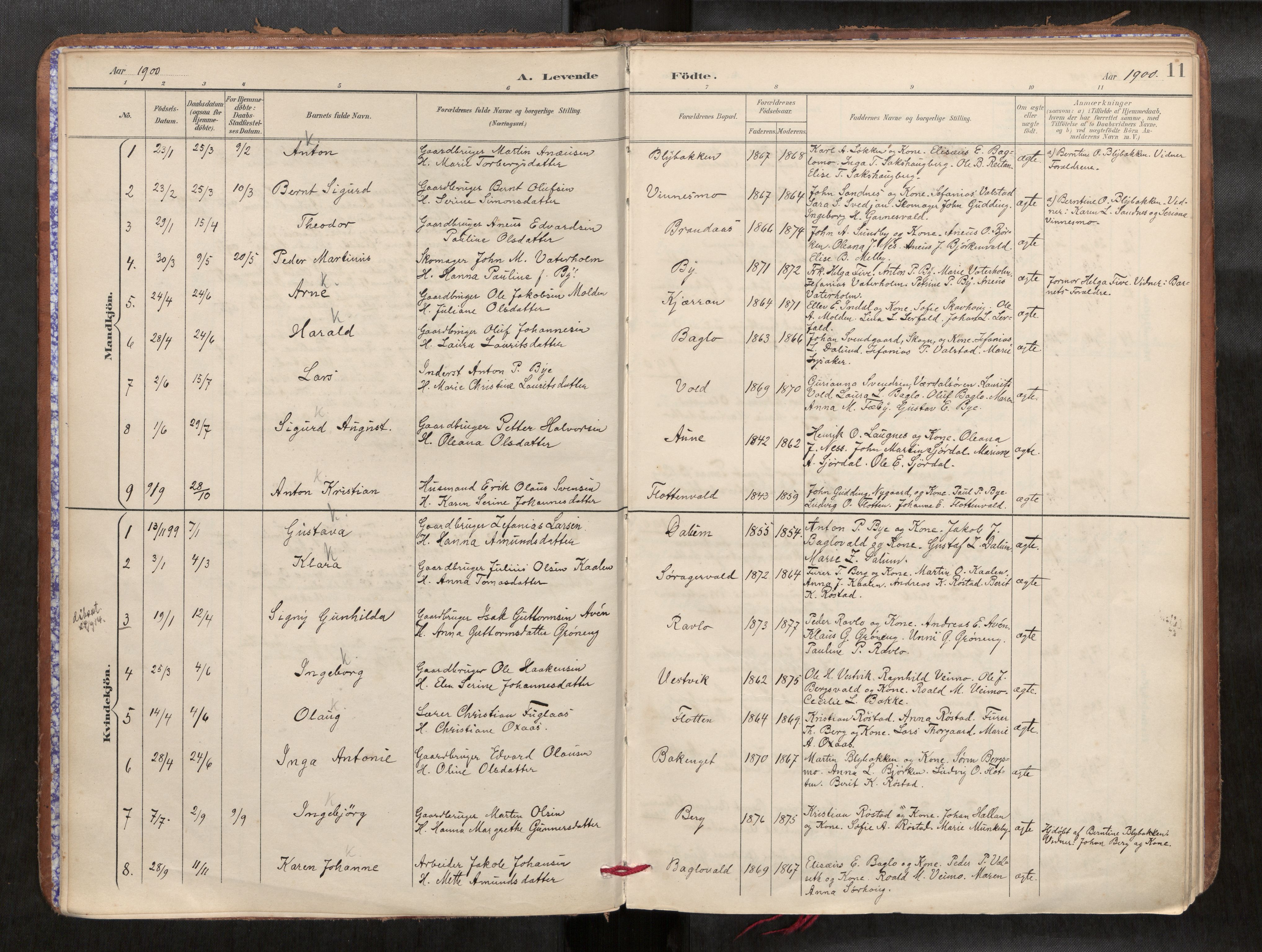 Verdal sokneprestkontor, SAT/A-1156/2/H/Haa/L0002: Parish register (official) no. 2, 1891-1907, p. 11