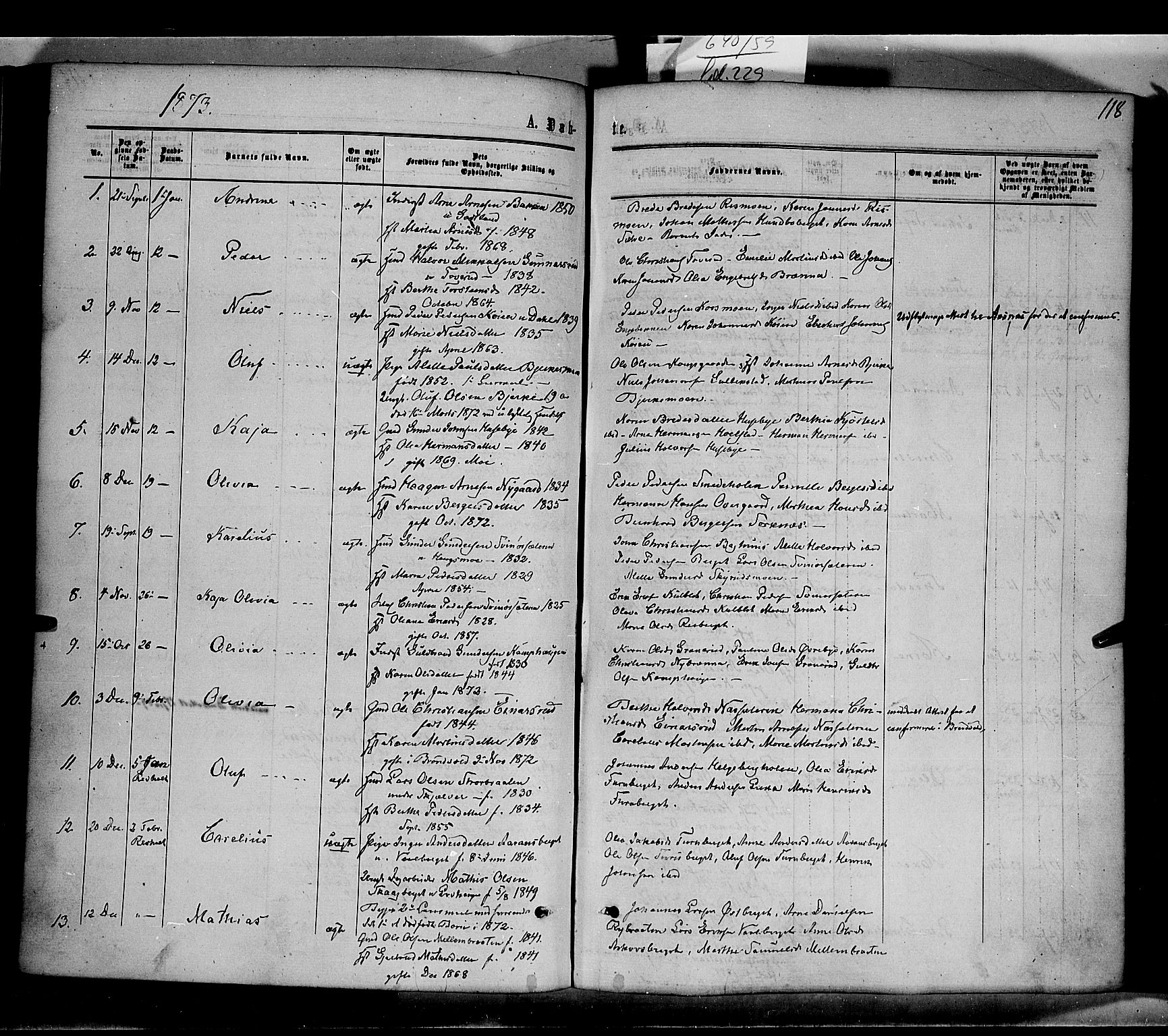 Grue prestekontor, SAH/PREST-036/H/Ha/Haa/L0010: Parish register (official) no. 10, 1864-1873, p. 118