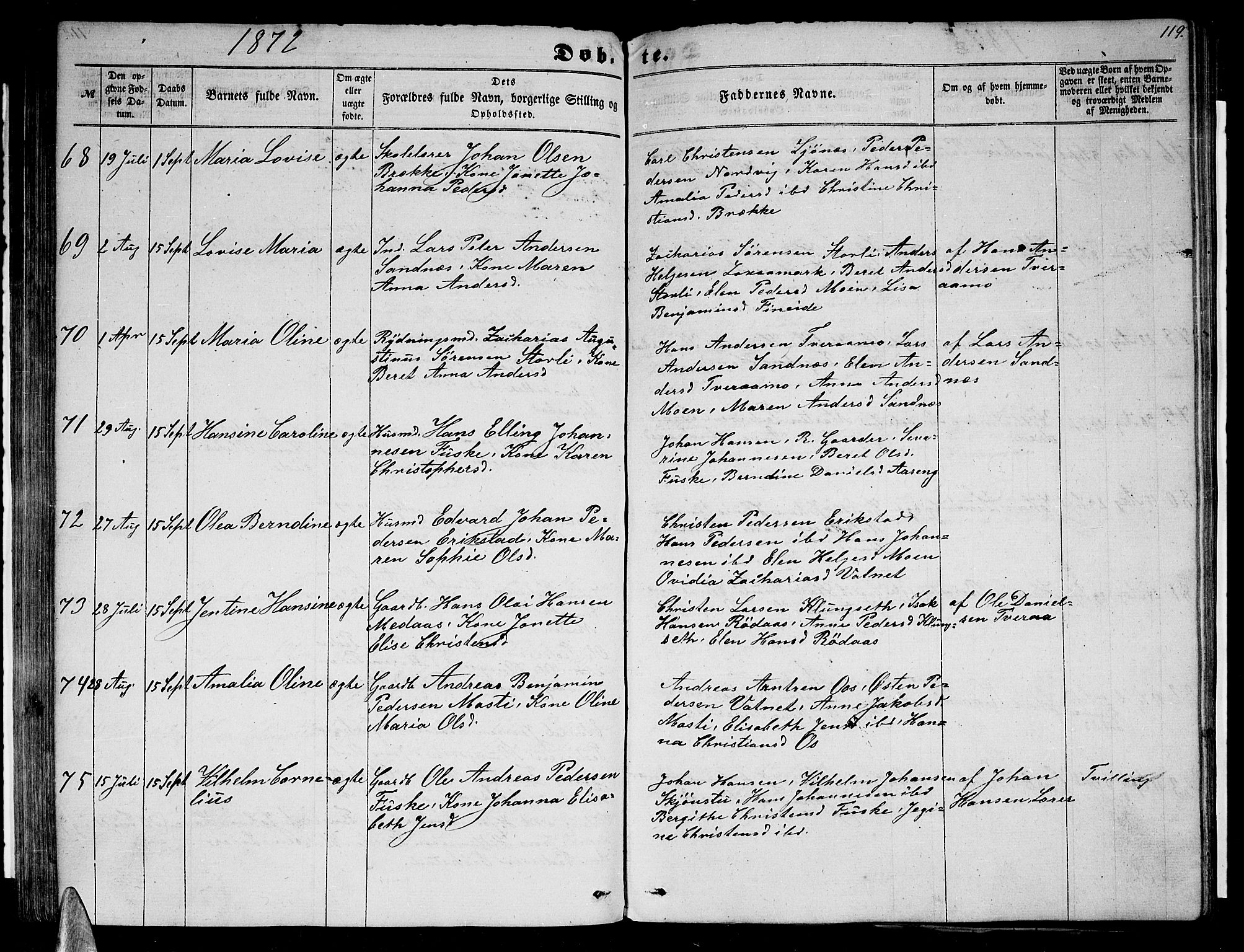 Ministerialprotokoller, klokkerbøker og fødselsregistre - Nordland, AV/SAT-A-1459/852/L0753: Parish register (copy) no. 852C04, 1856-1877, p. 119