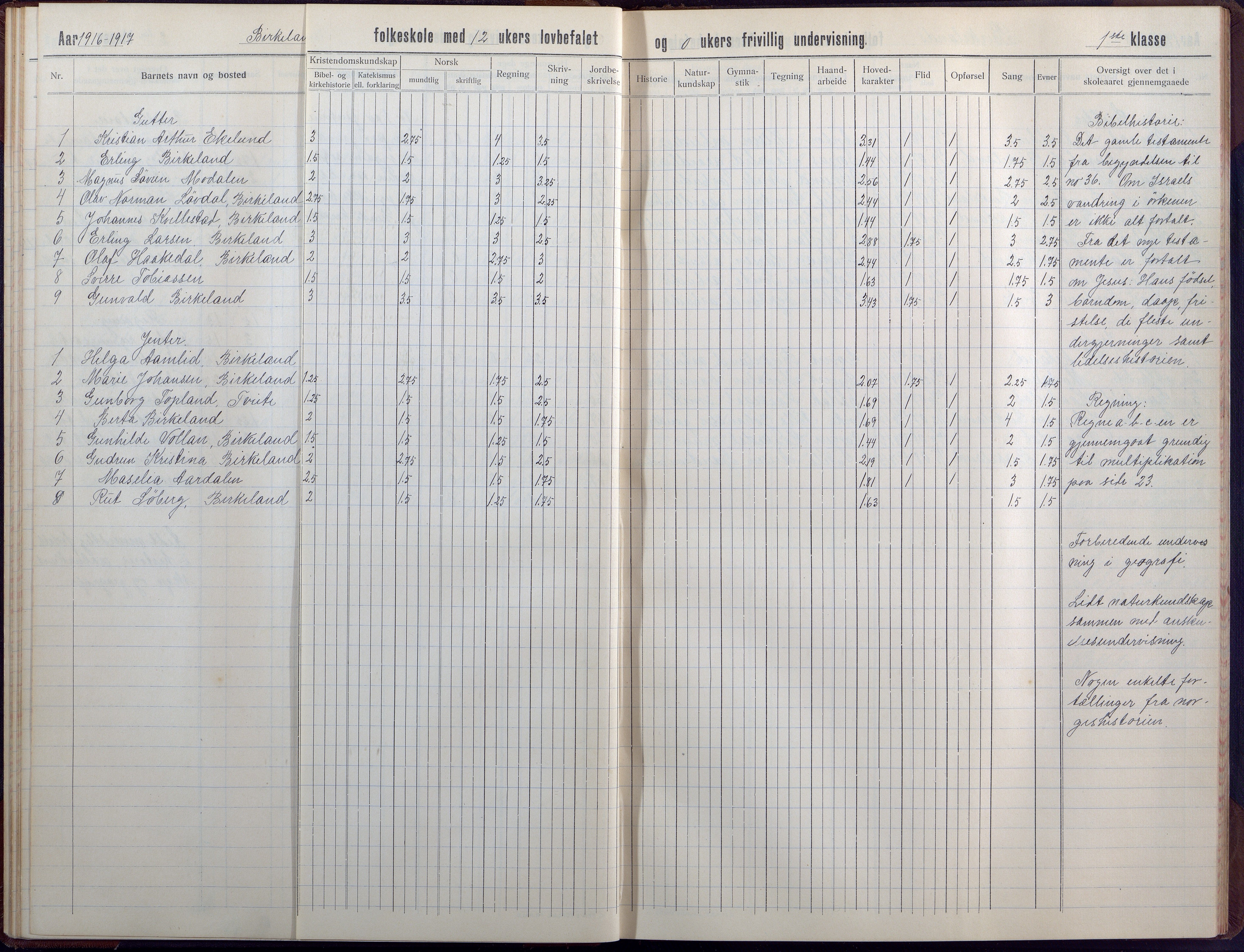 Birkenes kommune, Birkenes krets/Birkeland folkeskole frem til 1991, AAKS/KA0928-550a_91/F02/L0008: Skoleprotokoll, 1911-1930