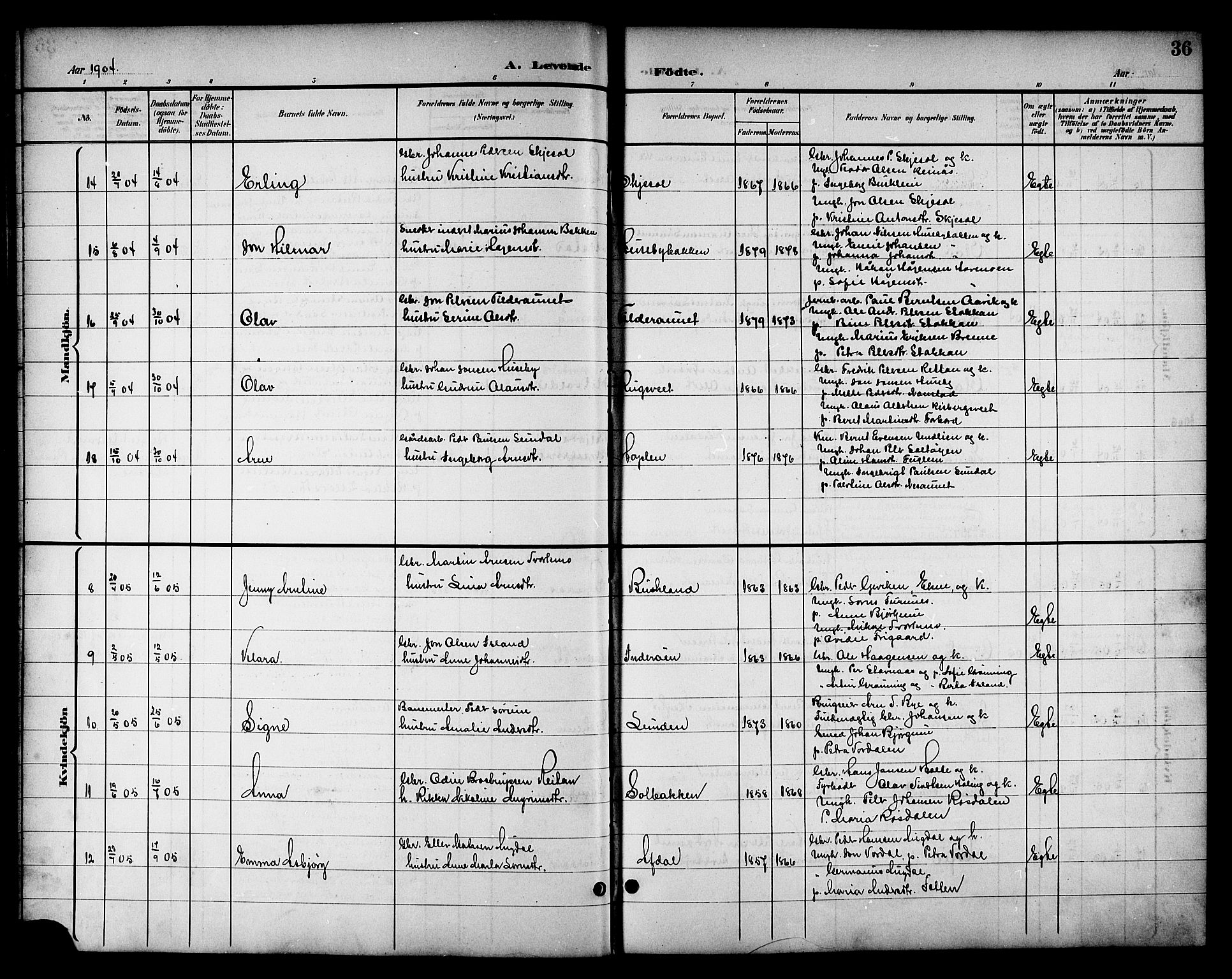 Ministerialprotokoller, klokkerbøker og fødselsregistre - Nord-Trøndelag, SAT/A-1458/714/L0135: Parish register (copy) no. 714C04, 1899-1918, p. 36