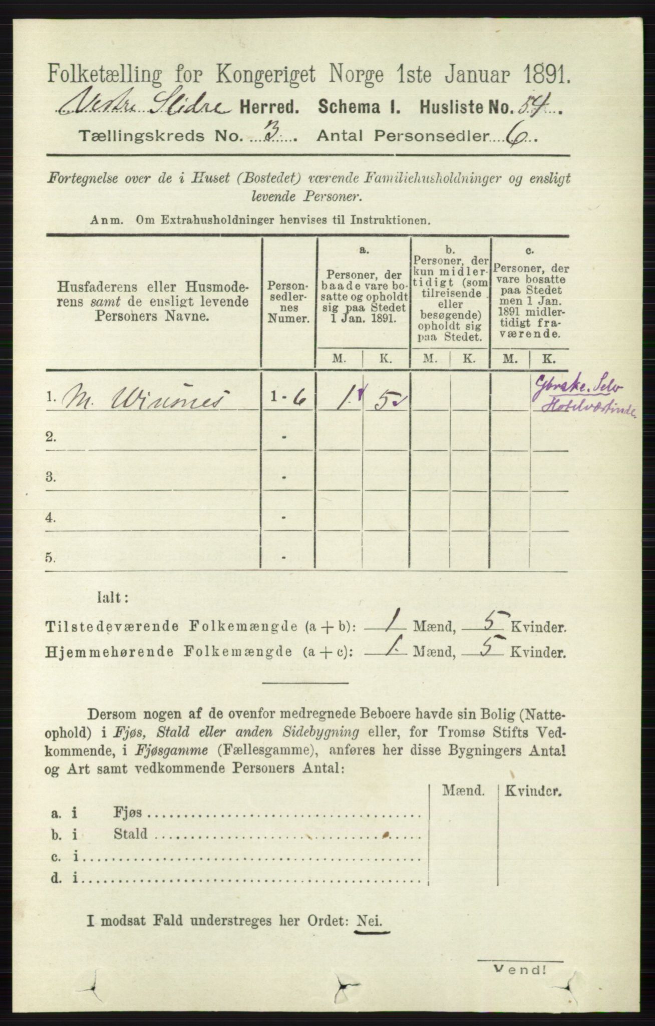 RA, 1891 census for 0543 Vestre Slidre, 1891, p. 817