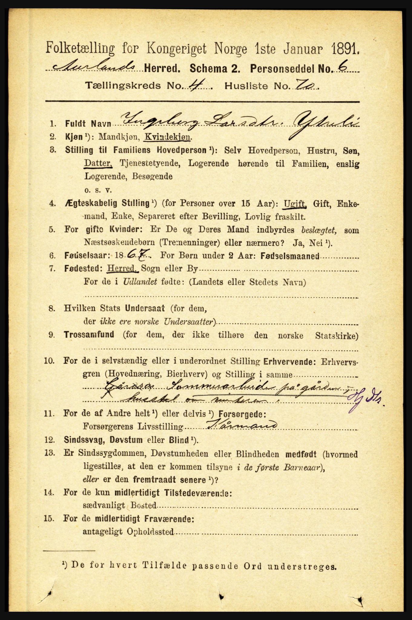 RA, 1891 census for 1421 Aurland, 1891, p. 1701