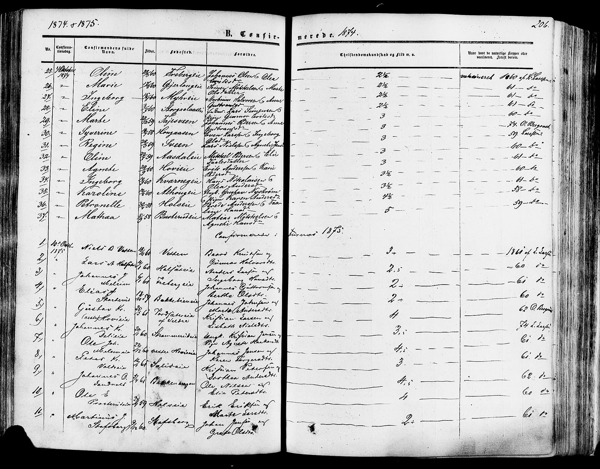 Vang prestekontor, Hedmark, SAH/PREST-008/H/Ha/Haa/L0013: Parish register (official) no. 13, 1855-1879, p. 206