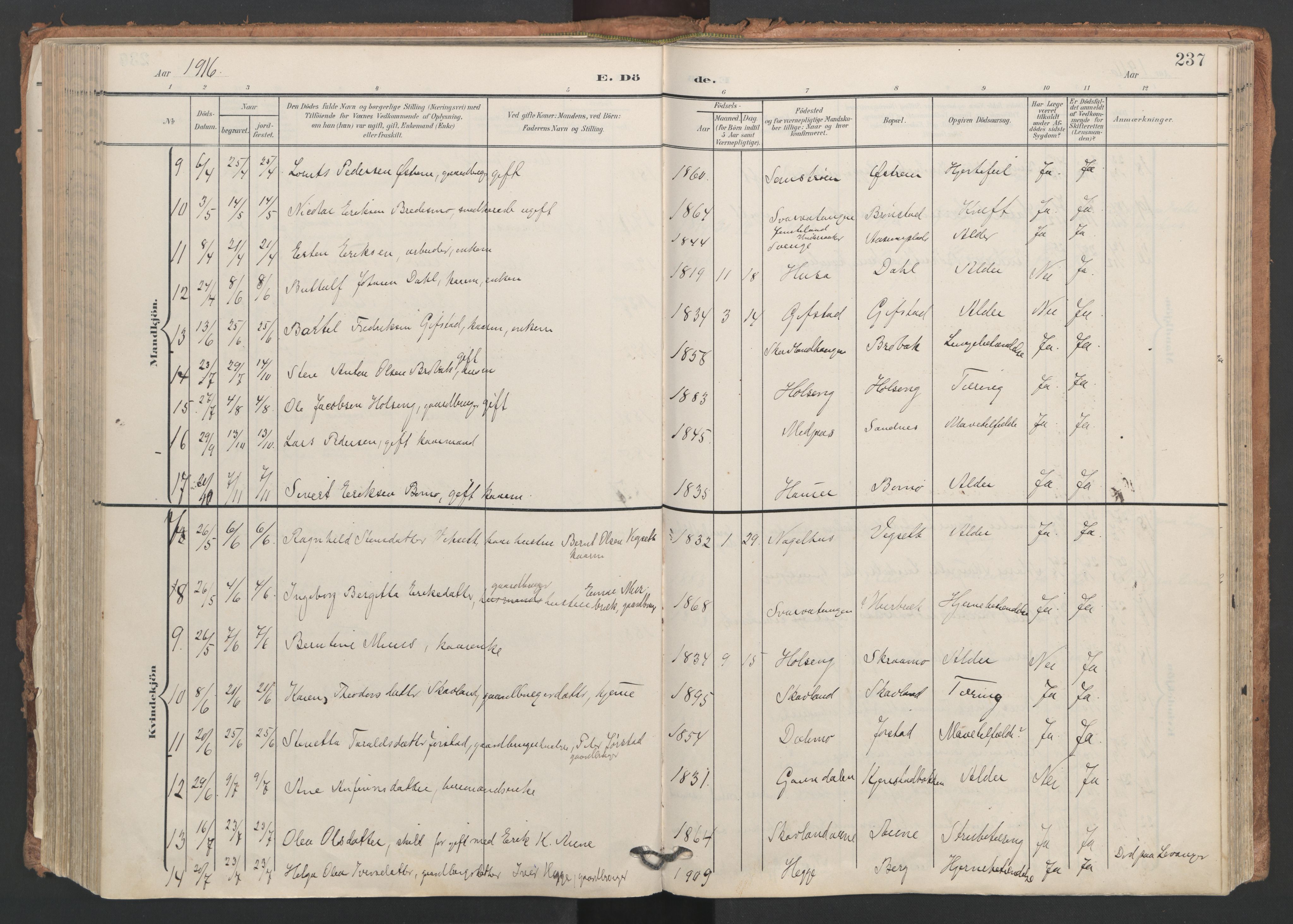 Ministerialprotokoller, klokkerbøker og fødselsregistre - Nord-Trøndelag, SAT/A-1458/749/L0477: Parish register (official) no. 749A11, 1902-1927, p. 237