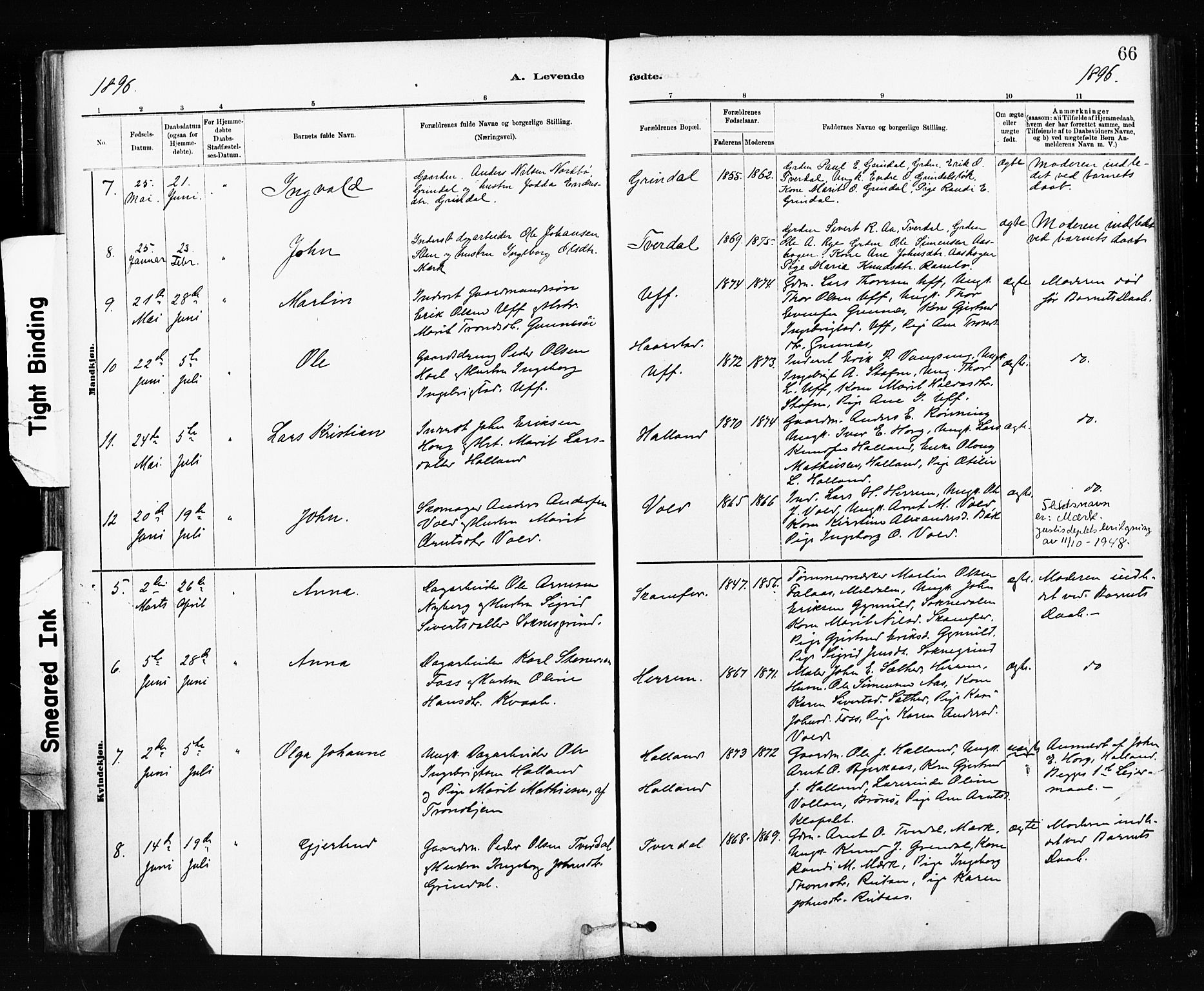 Ministerialprotokoller, klokkerbøker og fødselsregistre - Sør-Trøndelag, SAT/A-1456/674/L0871: Parish register (official) no. 674A03, 1880-1896, p. 66