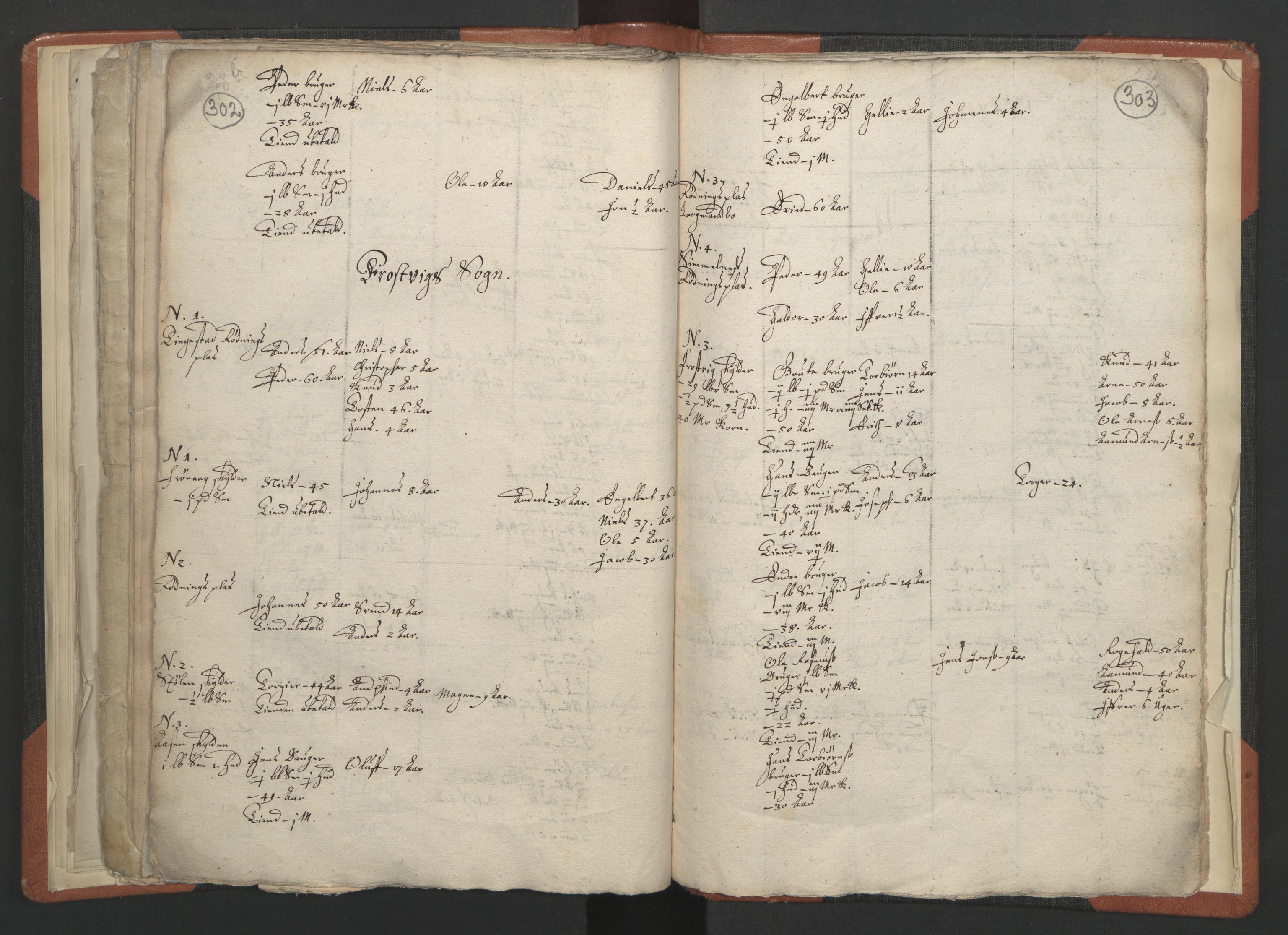 RA, Vicar's Census 1664-1666, no. 23: Sogn deanery, 1664-1666, p. 302-303