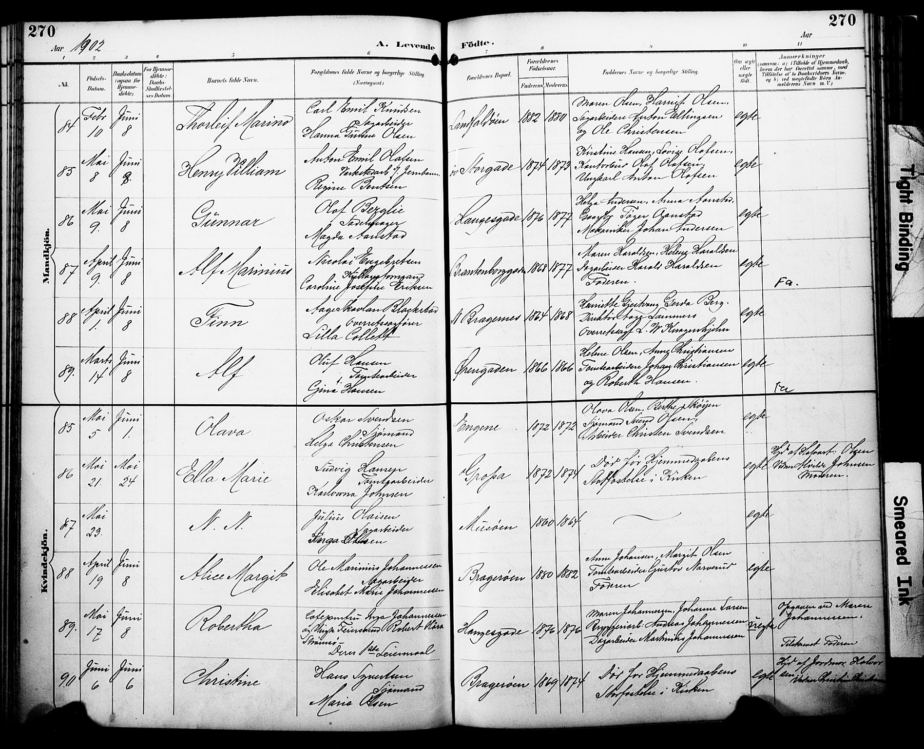 Bragernes kirkebøker, AV/SAKO-A-6/F/Fb/L0008: Parish register (official) no. II 8, 1894-1902, p. 270