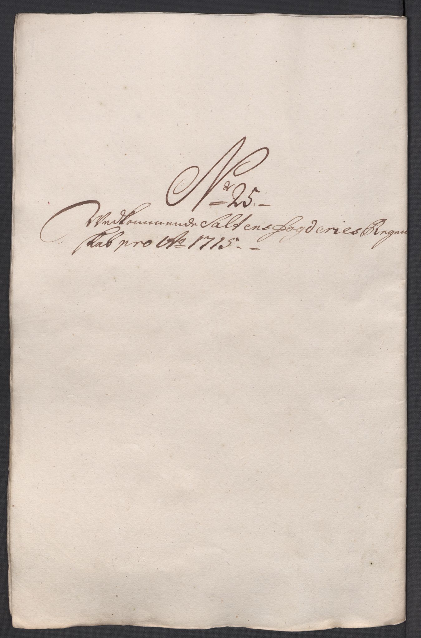 Rentekammeret inntil 1814, Reviderte regnskaper, Fogderegnskap, AV/RA-EA-4092/R66/L4585: Fogderegnskap Salten, 1715, p. 269