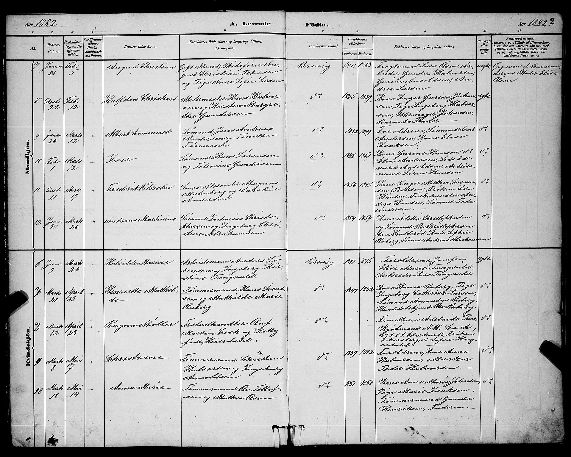 Brevik kirkebøker, AV/SAKO-A-255/G/Ga/L0004: Parish register (copy) no. 4, 1882-1900, p. 2