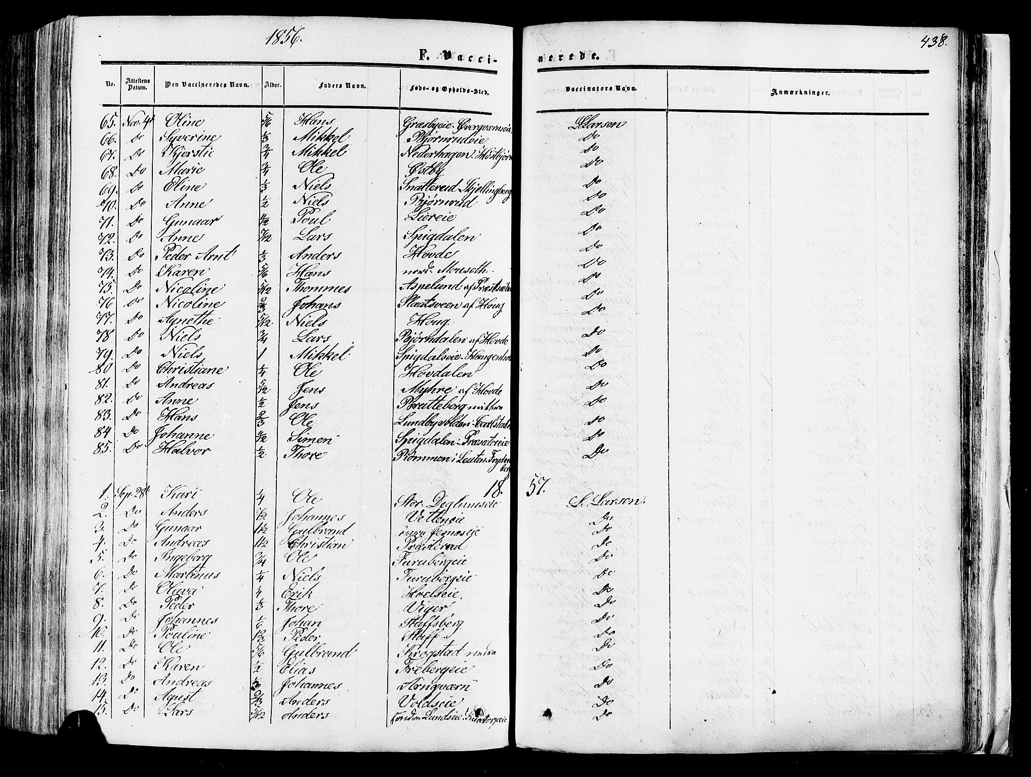 Vang prestekontor, Hedmark, SAH/PREST-008/H/Ha/Haa/L0013: Parish register (official) no. 13, 1855-1879, p. 438