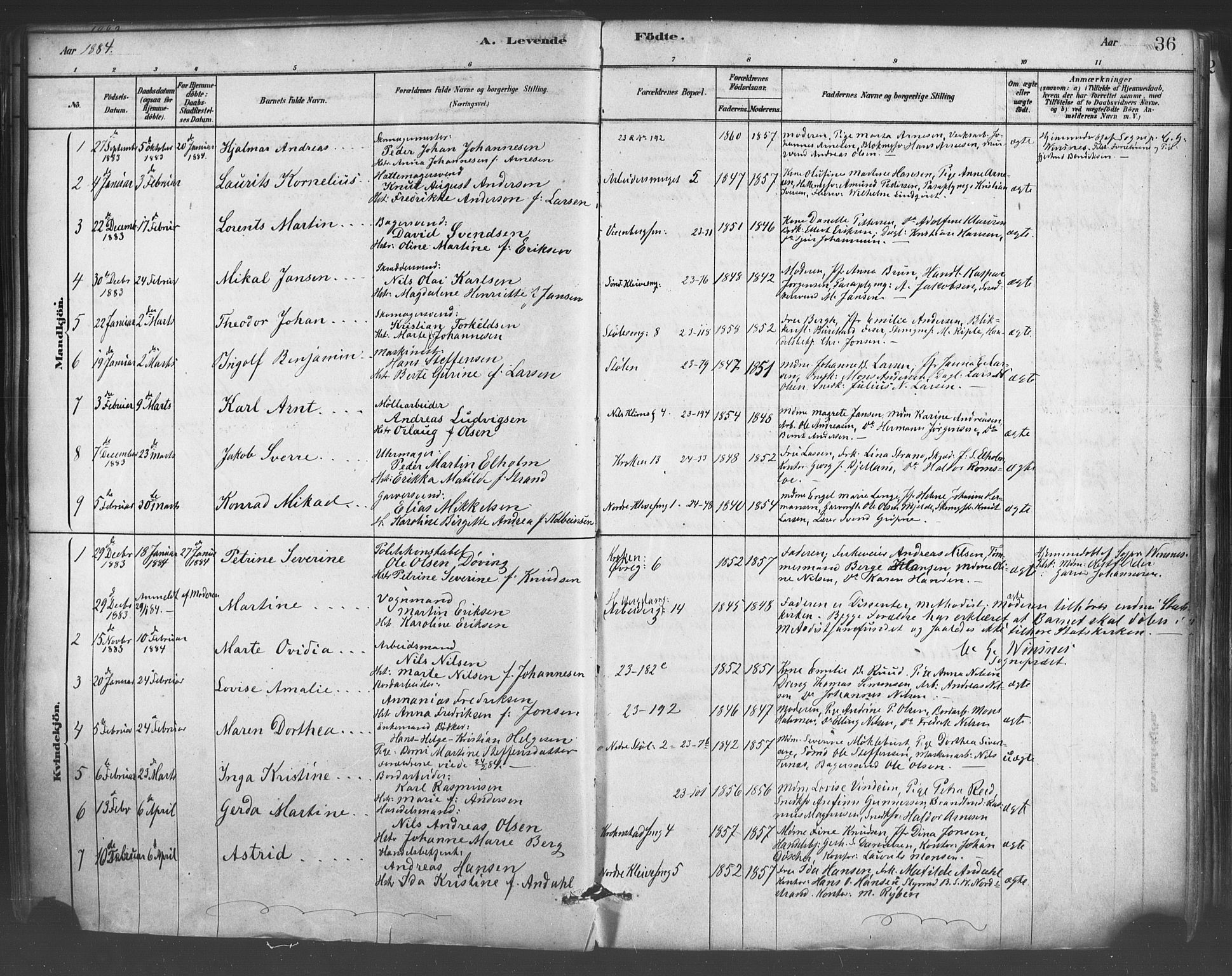 Mariakirken Sokneprestembete, SAB/A-76901/H/Haa/L0007: Parish register (official) no. A 7, 1878-1893, p. 36