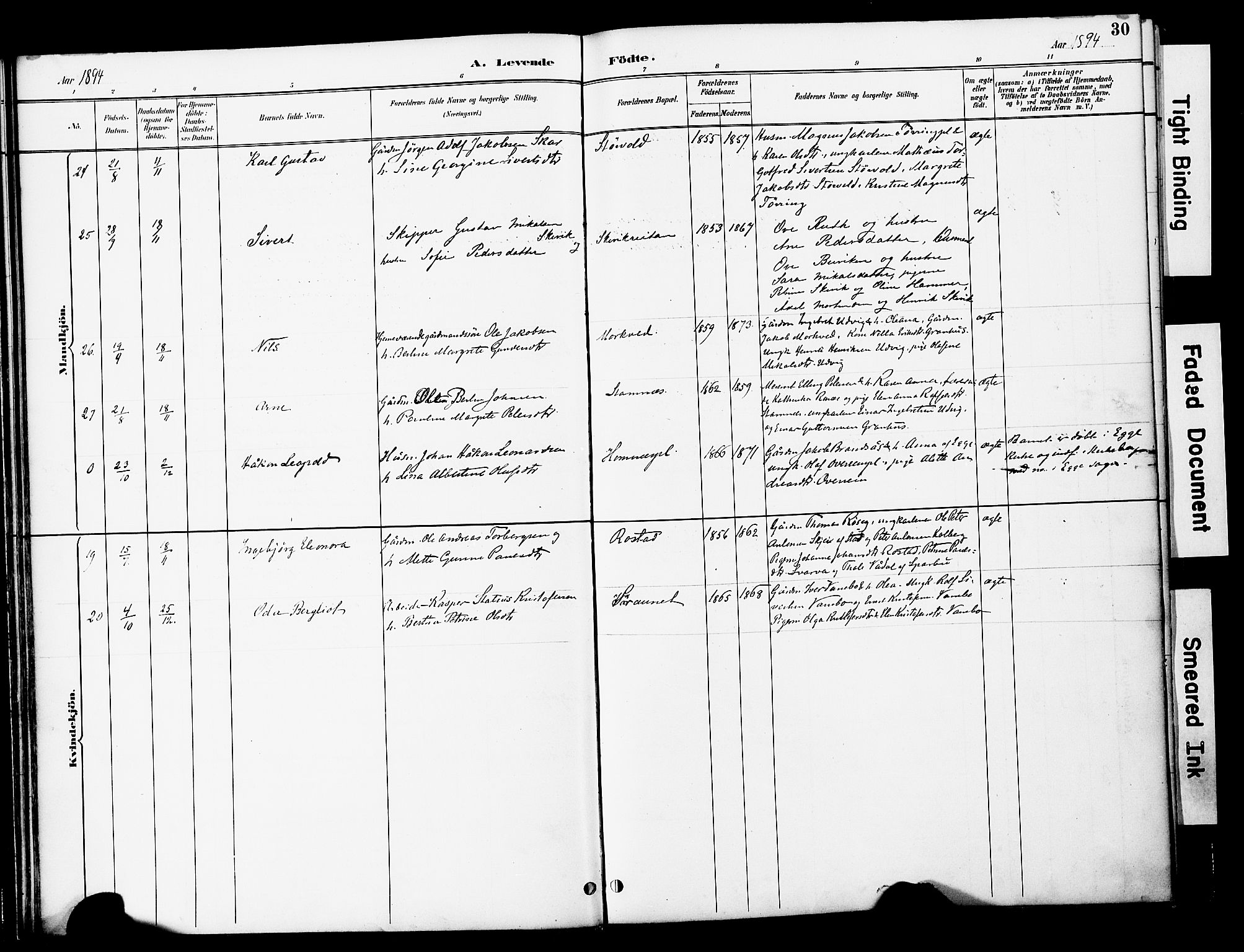 Ministerialprotokoller, klokkerbøker og fødselsregistre - Nord-Trøndelag, AV/SAT-A-1458/741/L0396: Parish register (official) no. 741A10, 1889-1901, p. 30