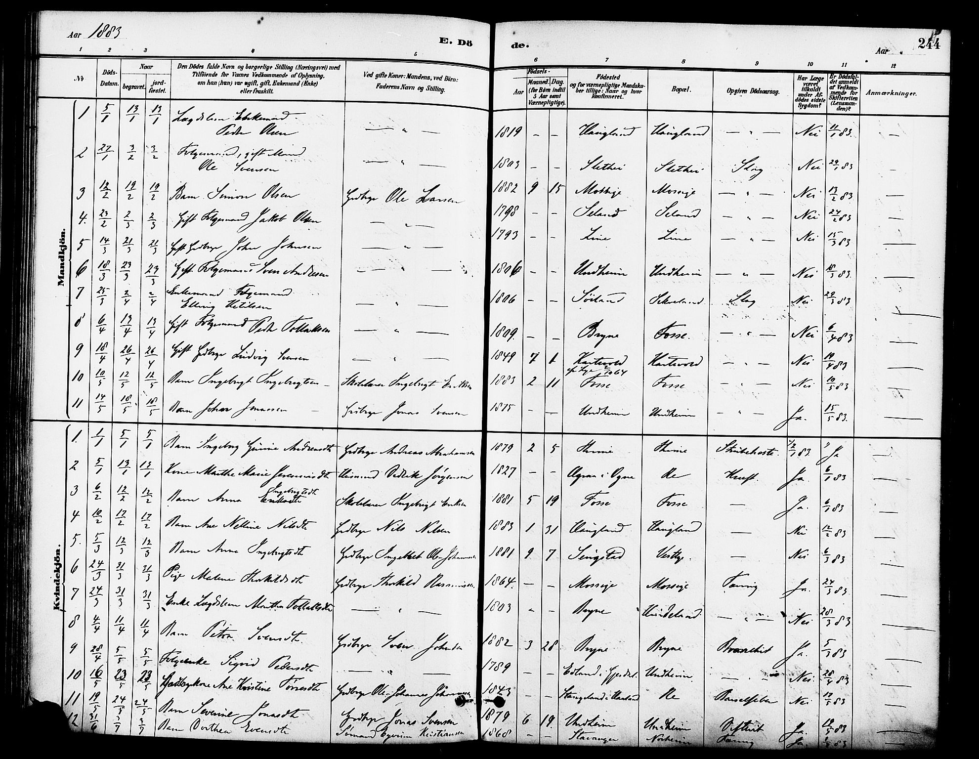 Lye sokneprestkontor, AV/SAST-A-101794/001/30BA/L0009: Parish register (official) no. A 8, 1881-1892, p. 244