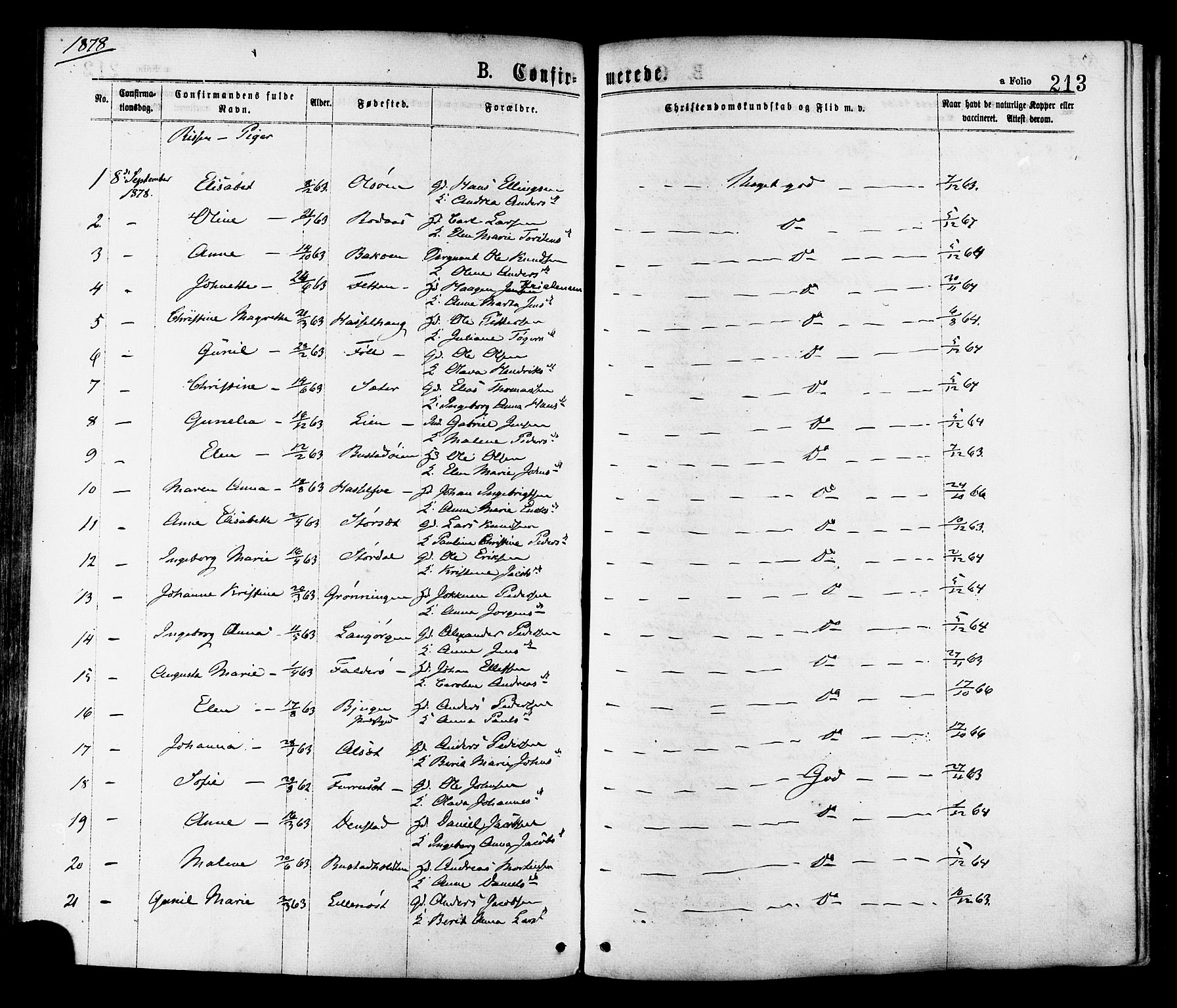 Ministerialprotokoller, klokkerbøker og fødselsregistre - Sør-Trøndelag, SAT/A-1456/646/L0613: Parish register (official) no. 646A11, 1870-1884, p. 213