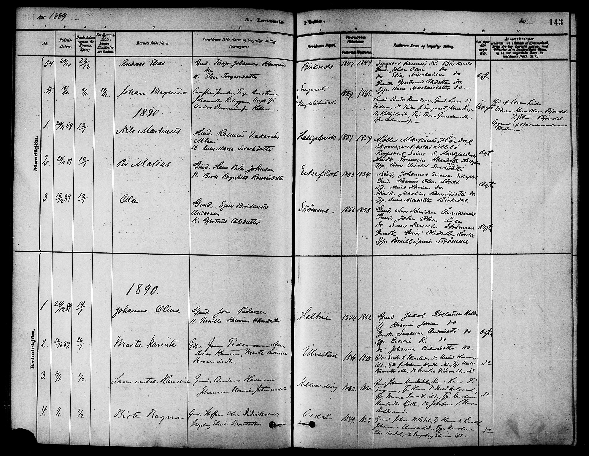 Ministerialprotokoller, klokkerbøker og fødselsregistre - Møre og Romsdal, AV/SAT-A-1454/511/L0141: Parish register (official) no. 511A08, 1878-1890, p. 143