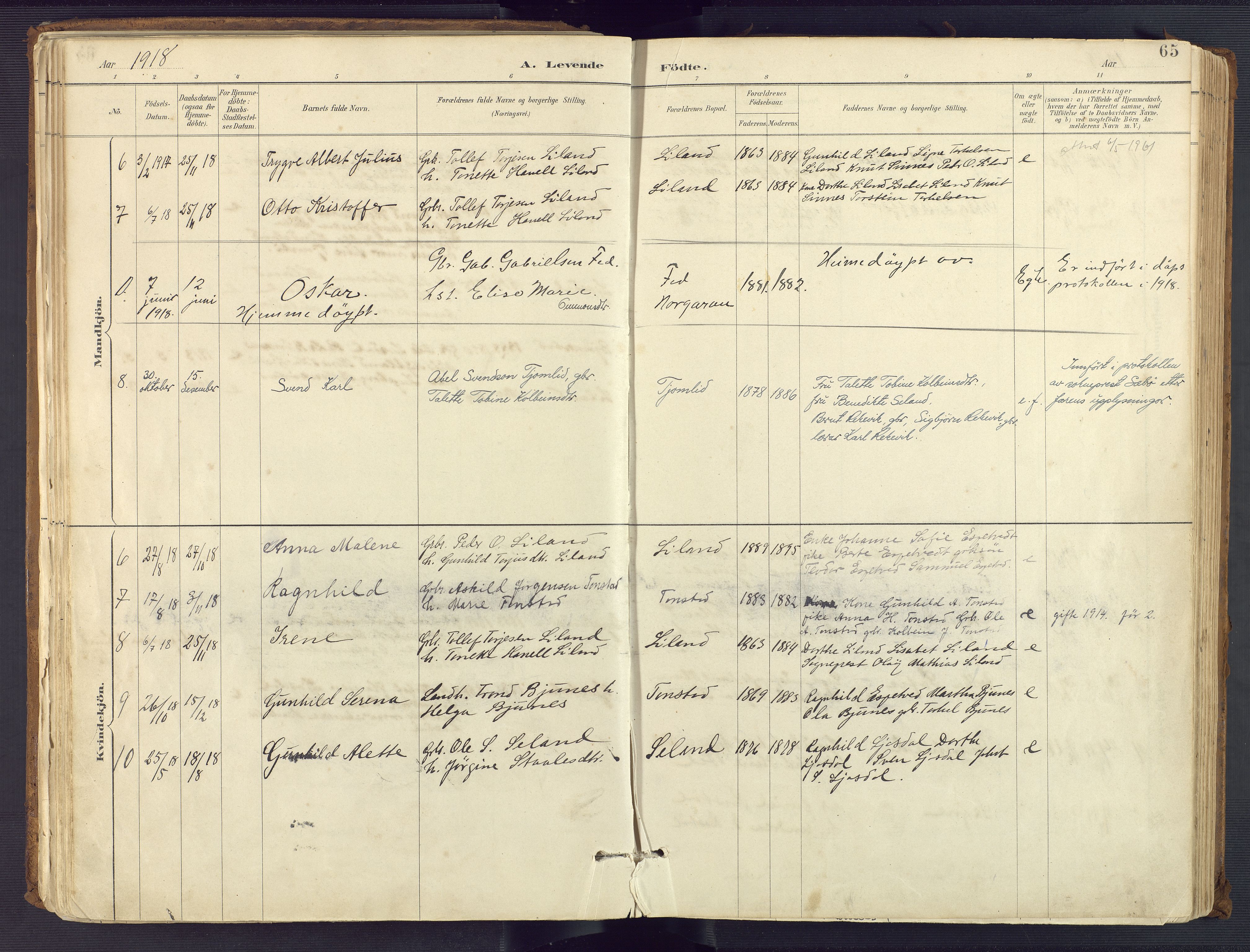 Sirdal sokneprestkontor, AV/SAK-1111-0036/F/Fa/Fab/L0004: Parish register (official) no. A 4, 1887-1919, p. 65