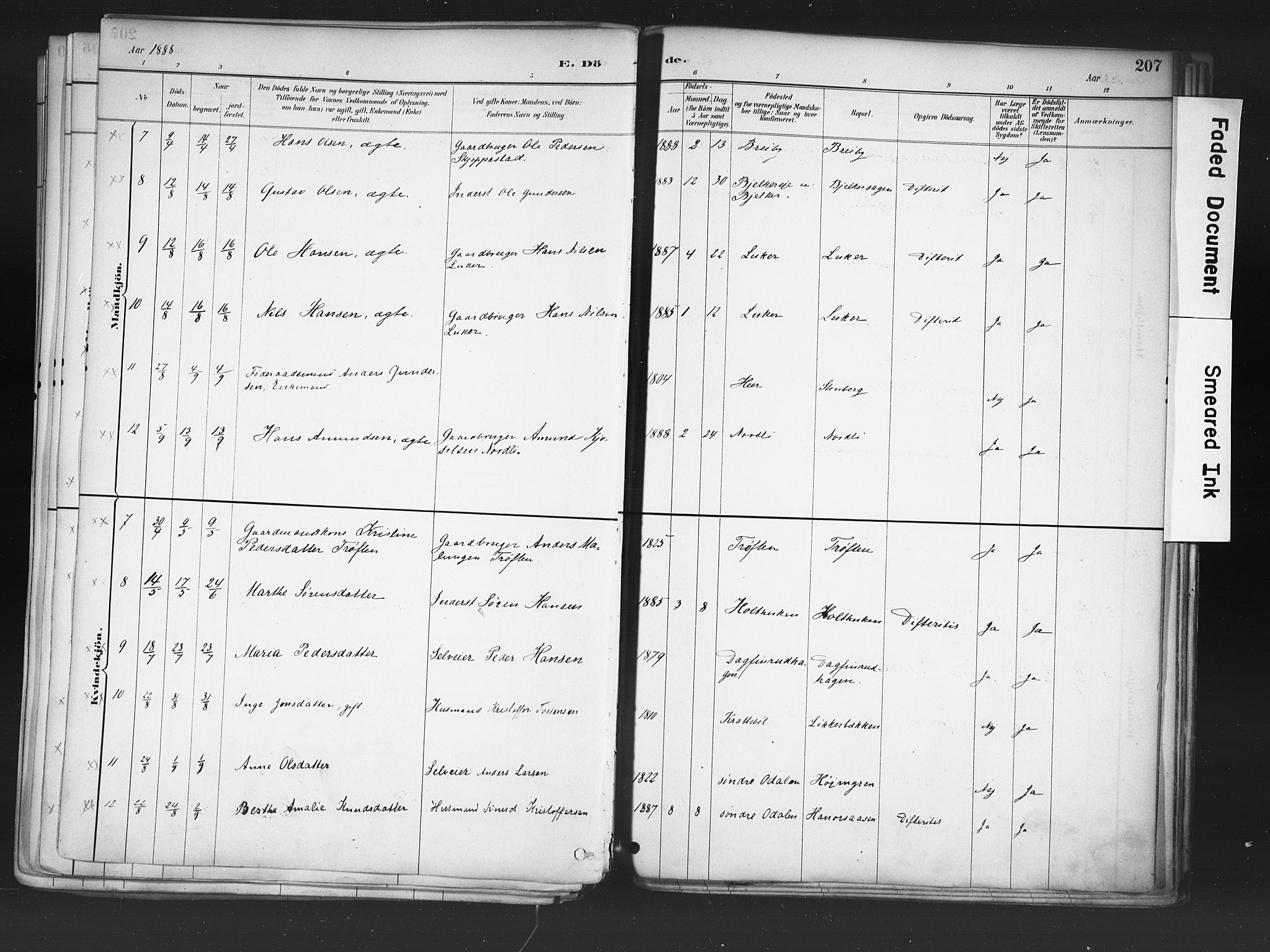 Nord-Odal prestekontor, AV/SAH-PREST-032/H/Ha/Haa/L0006: Parish register (official) no. 6, 1886-1901, p. 207