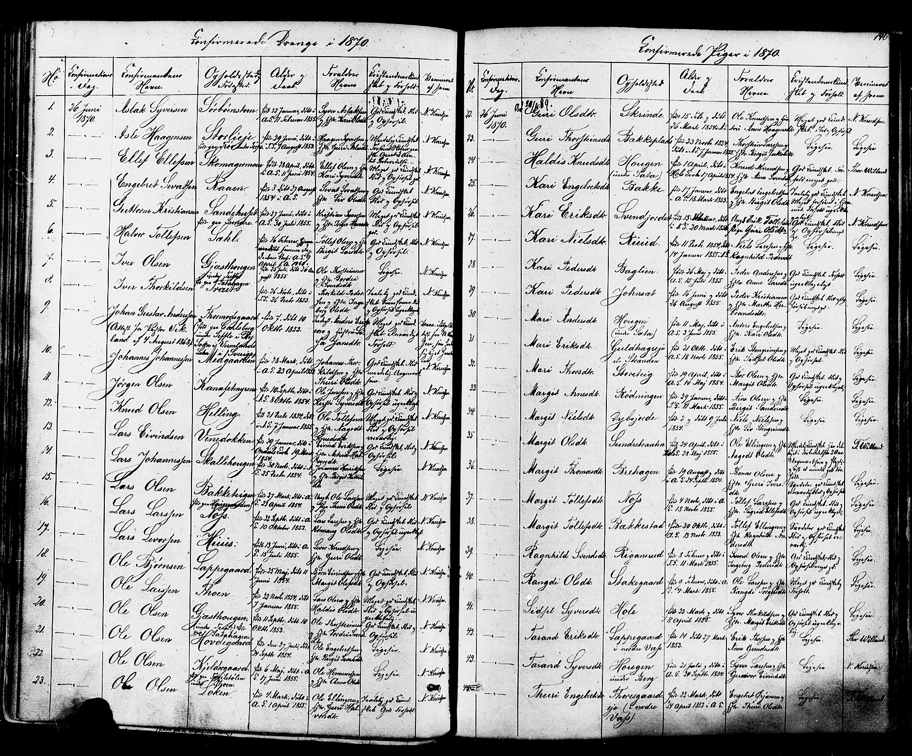 Ål kirkebøker, SAKO/A-249/F/Fa/L0007: Parish register (official) no. I 7, 1865-1881, p. 146