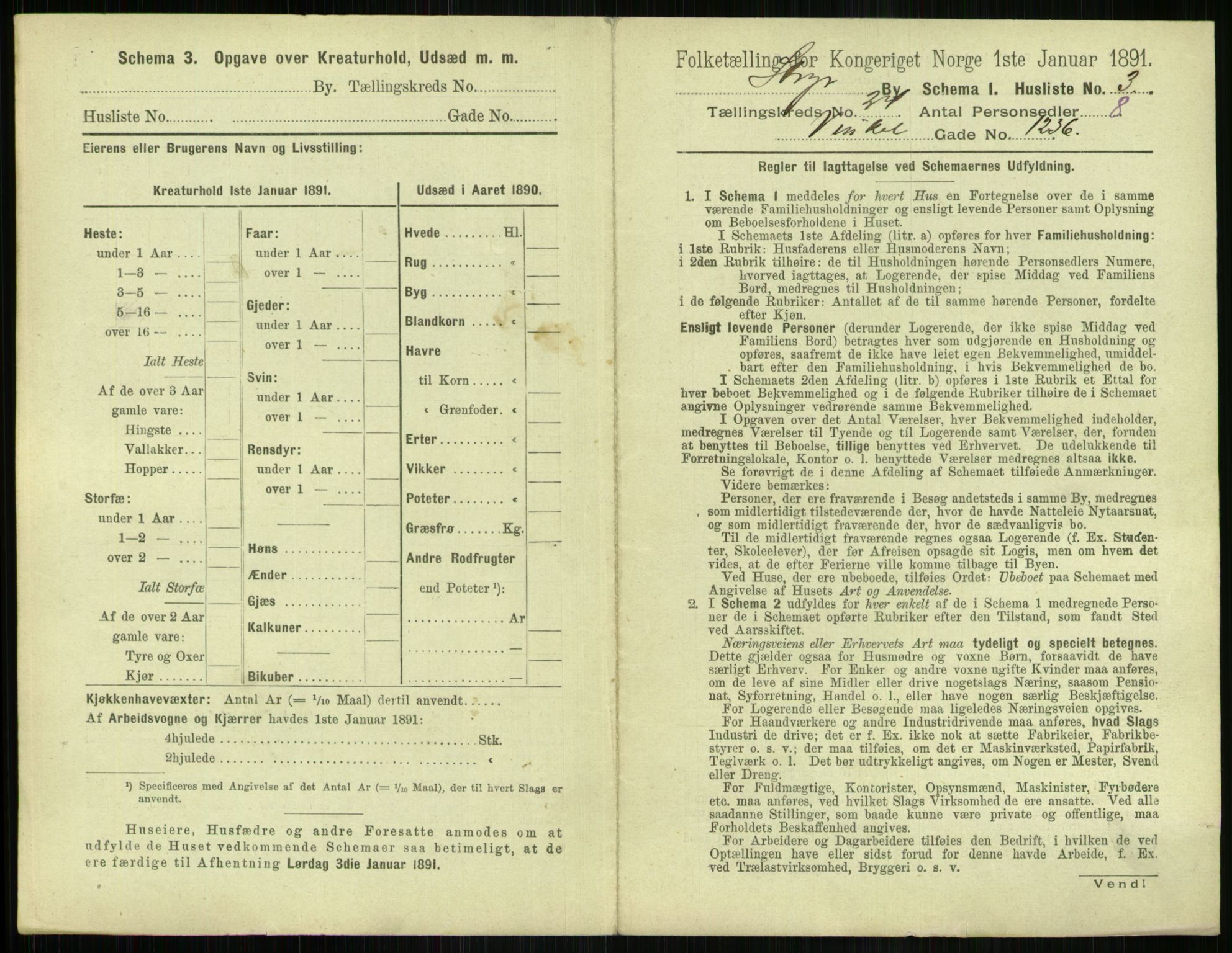 RA, 1891 census for 1103 Stavanger, 1891, p. 4579