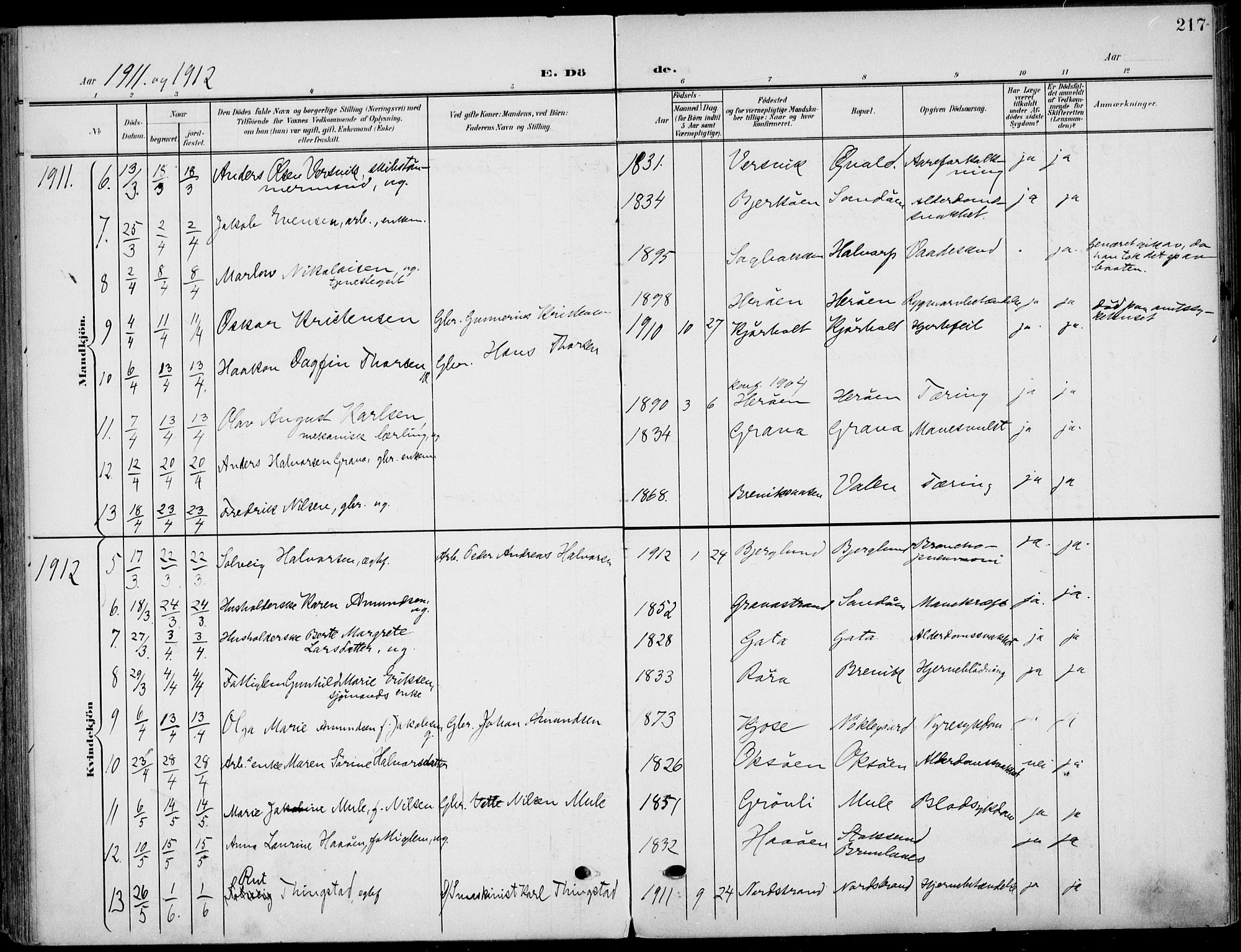 Eidanger kirkebøker, AV/SAKO-A-261/F/Fa/L0013: Parish register (official) no. 13, 1900-1913, p. 217