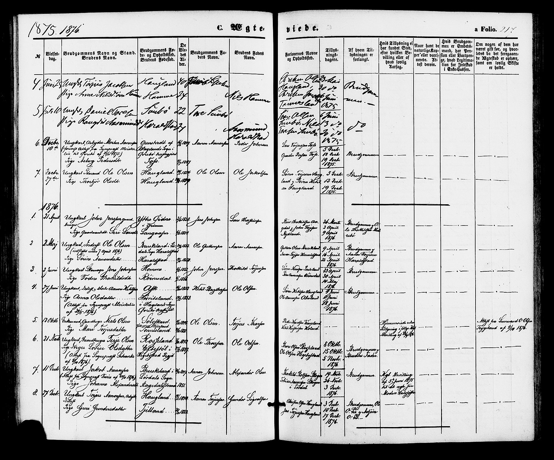 Bjelland sokneprestkontor, AV/SAK-1111-0005/F/Fa/Faa/L0003: Parish register (official) no. A 3, 1867-1887, p. 217