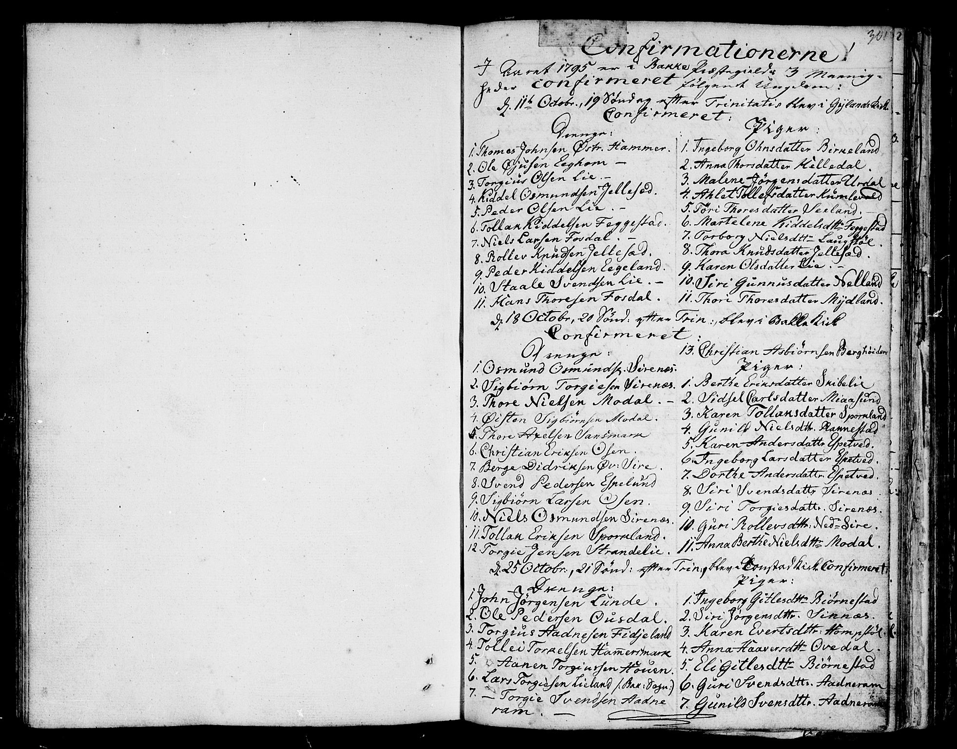 Bakke sokneprestkontor, SAK/1111-0002/F/Fa/Faa/L0002: Parish register (official) no. A 2, 1780-1816, p. 301