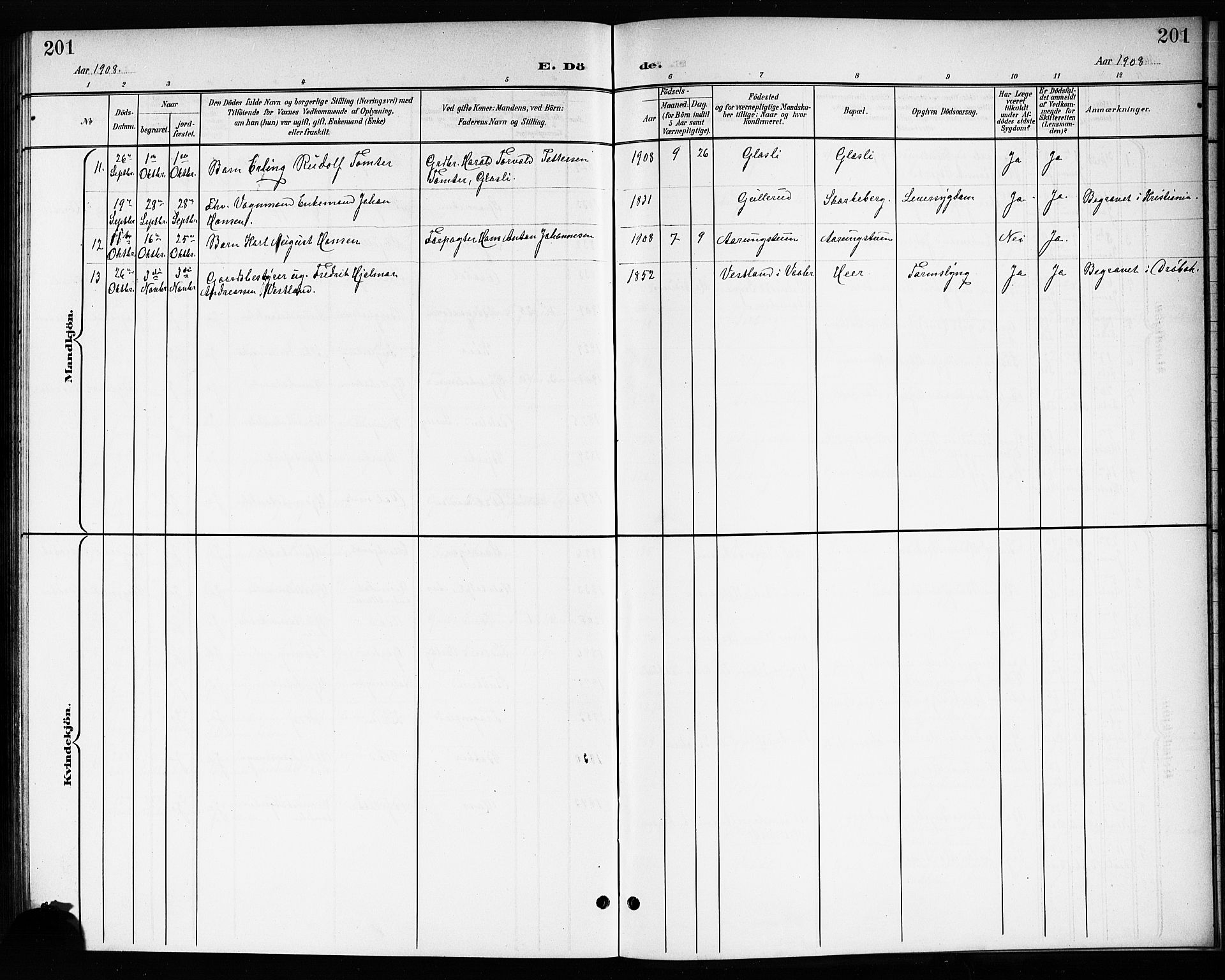 Drøbak prestekontor Kirkebøker, SAO/A-10142a/G/Gb/L0001: Parish register (copy) no. II 1, 1901-1919, p. 201
