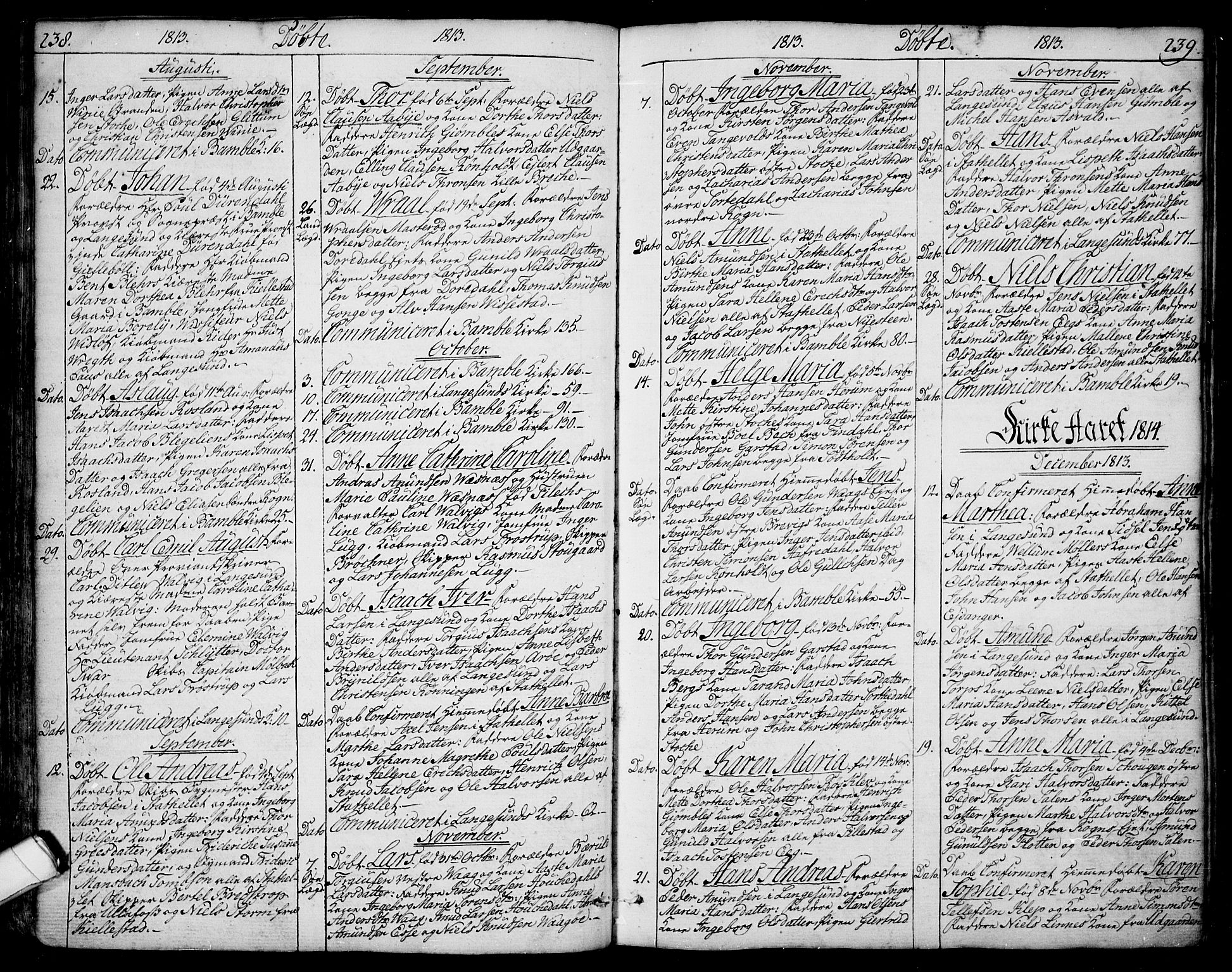 Bamble kirkebøker, SAKO/A-253/F/Fa/L0002: Parish register (official) no. I 2, 1775-1814, p. 238-239