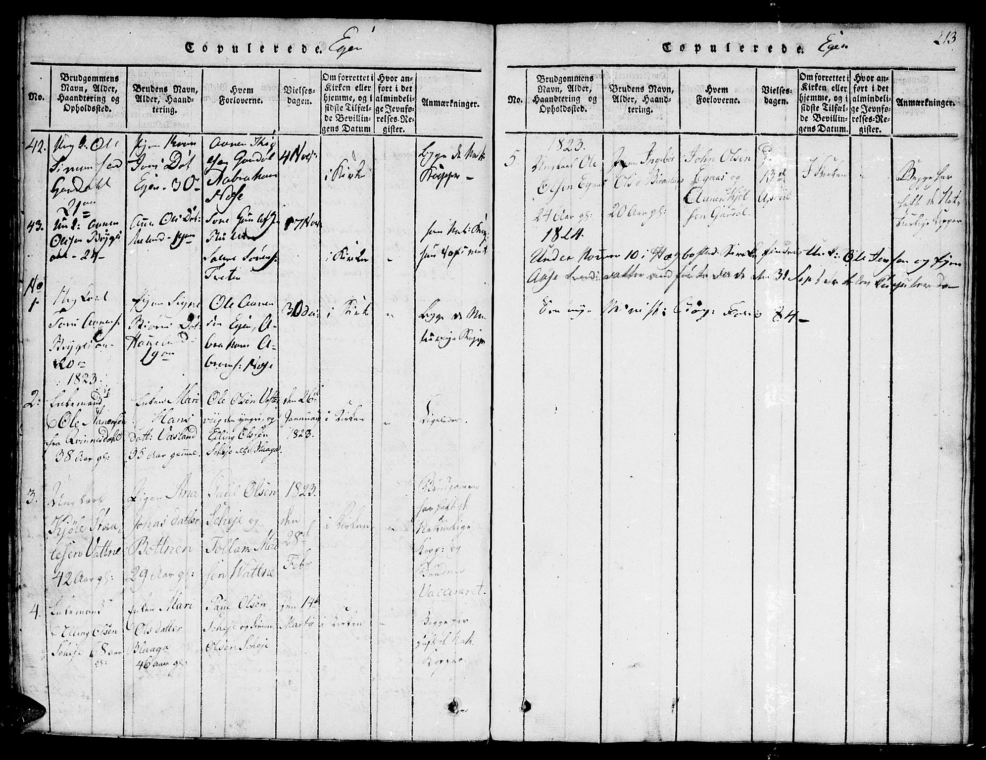 Hægebostad sokneprestkontor, SAK/1111-0024/F/Fa/Faa/L0002: Parish register (official) no. A 2 /2, 1816-1824, p. 213