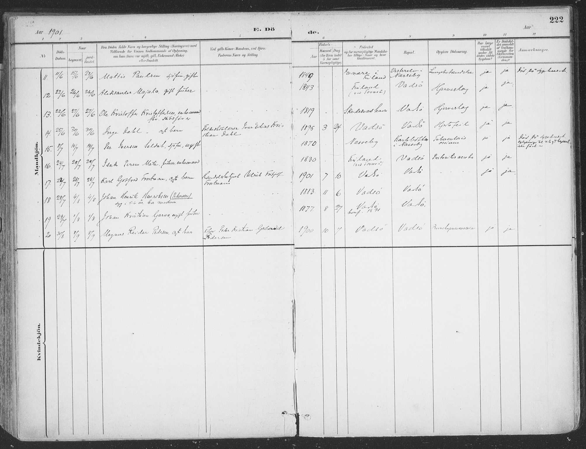 Vadsø sokneprestkontor, SATØ/S-1325/H/Ha/L0007kirke: Parish register (official) no. 7, 1896-1916, p. 222