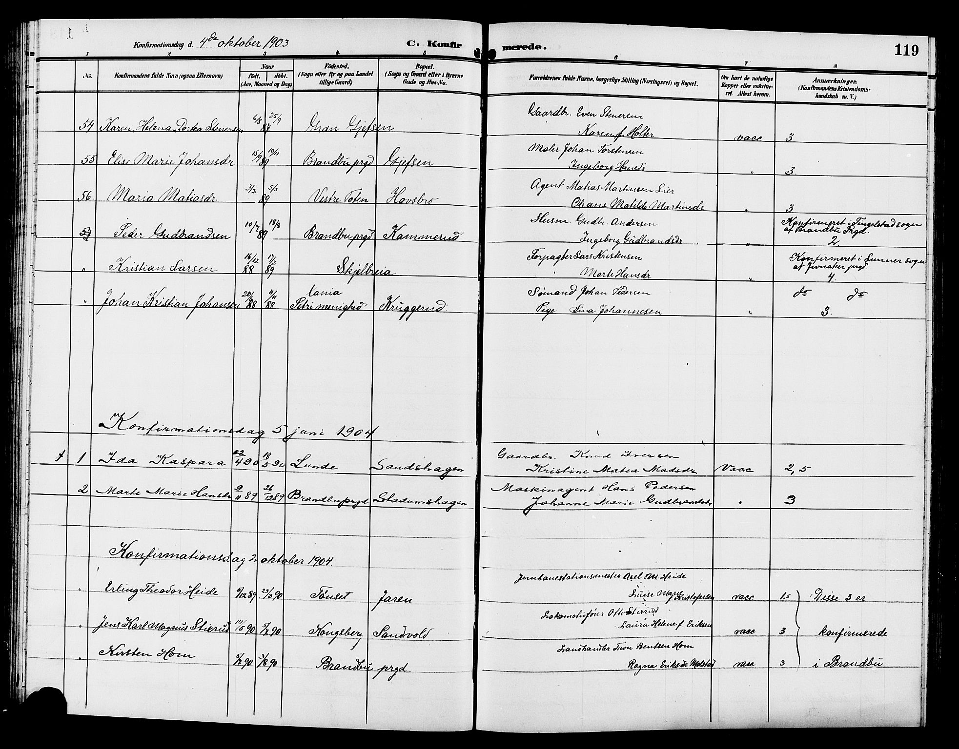 Gran prestekontor, SAH/PREST-112/H/Ha/Hab/L0006: Parish register (copy) no. 6, 1901-1911, p. 119