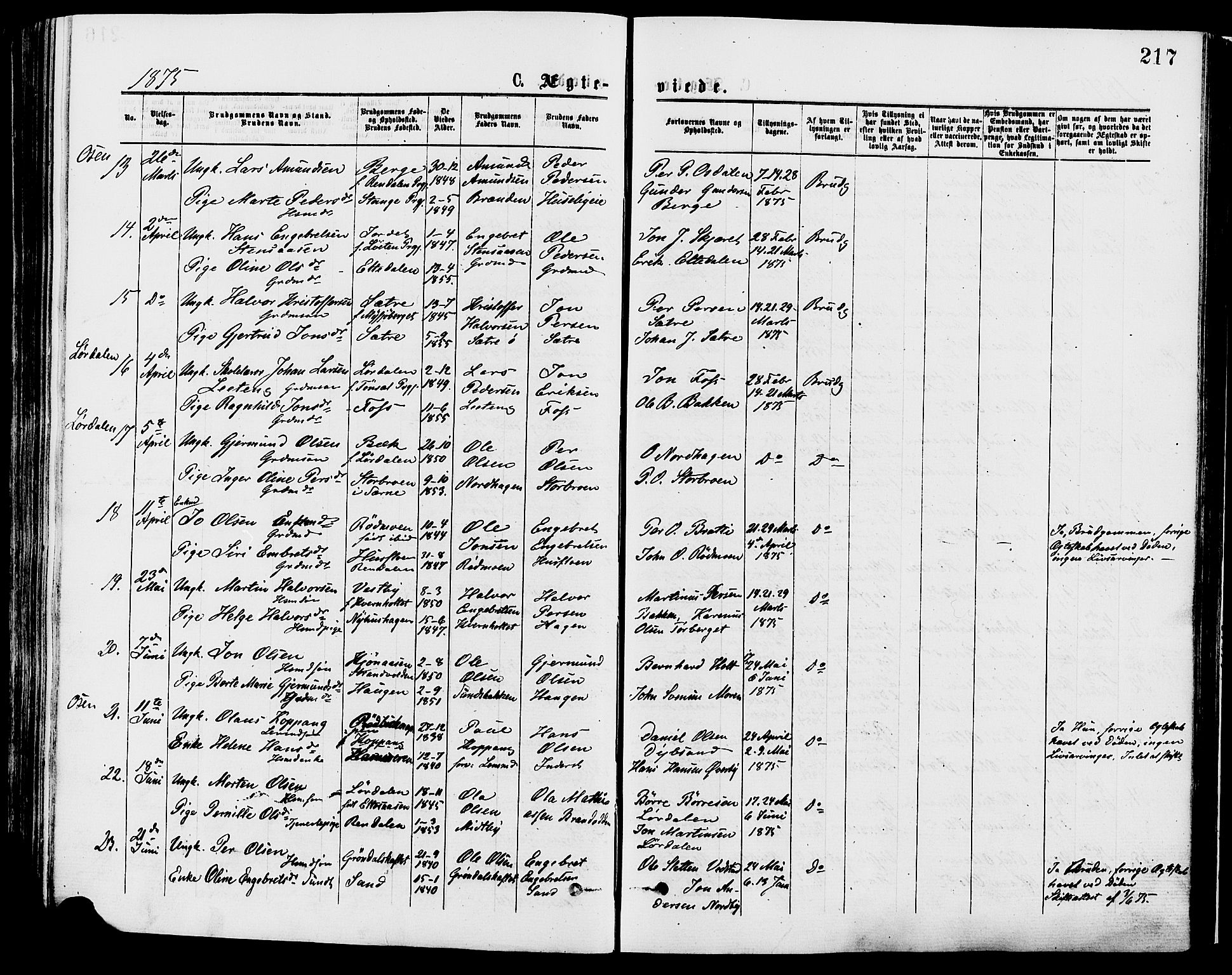 Trysil prestekontor, AV/SAH-PREST-046/H/Ha/Haa/L0007: Parish register (official) no. 7, 1874-1880, p. 217