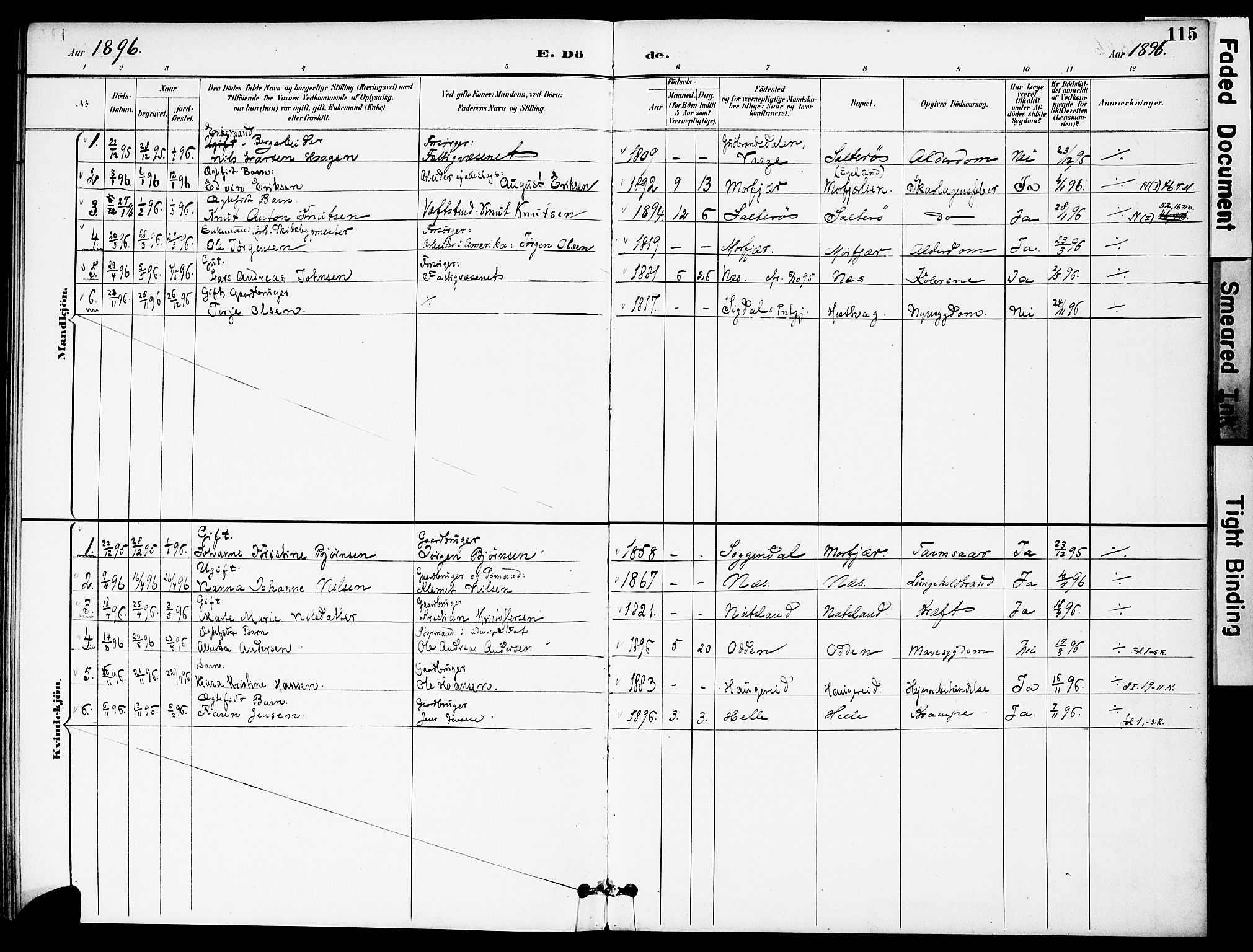 Austre Moland sokneprestkontor, AV/SAK-1111-0001/F/Fa/Fab/L0002: Parish register (official) no. A 2, 1894-1919, p. 115