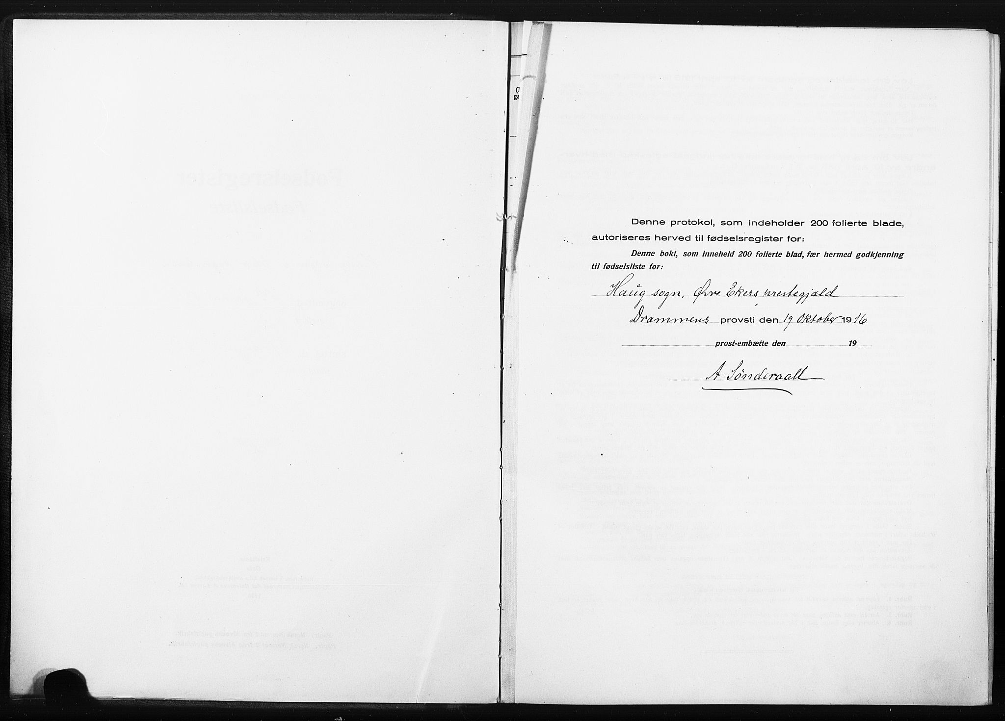Eiker kirkebøker, AV/SAKO-A-4/J/Ja/L0001: Birth register no. I 1, 1916-1927