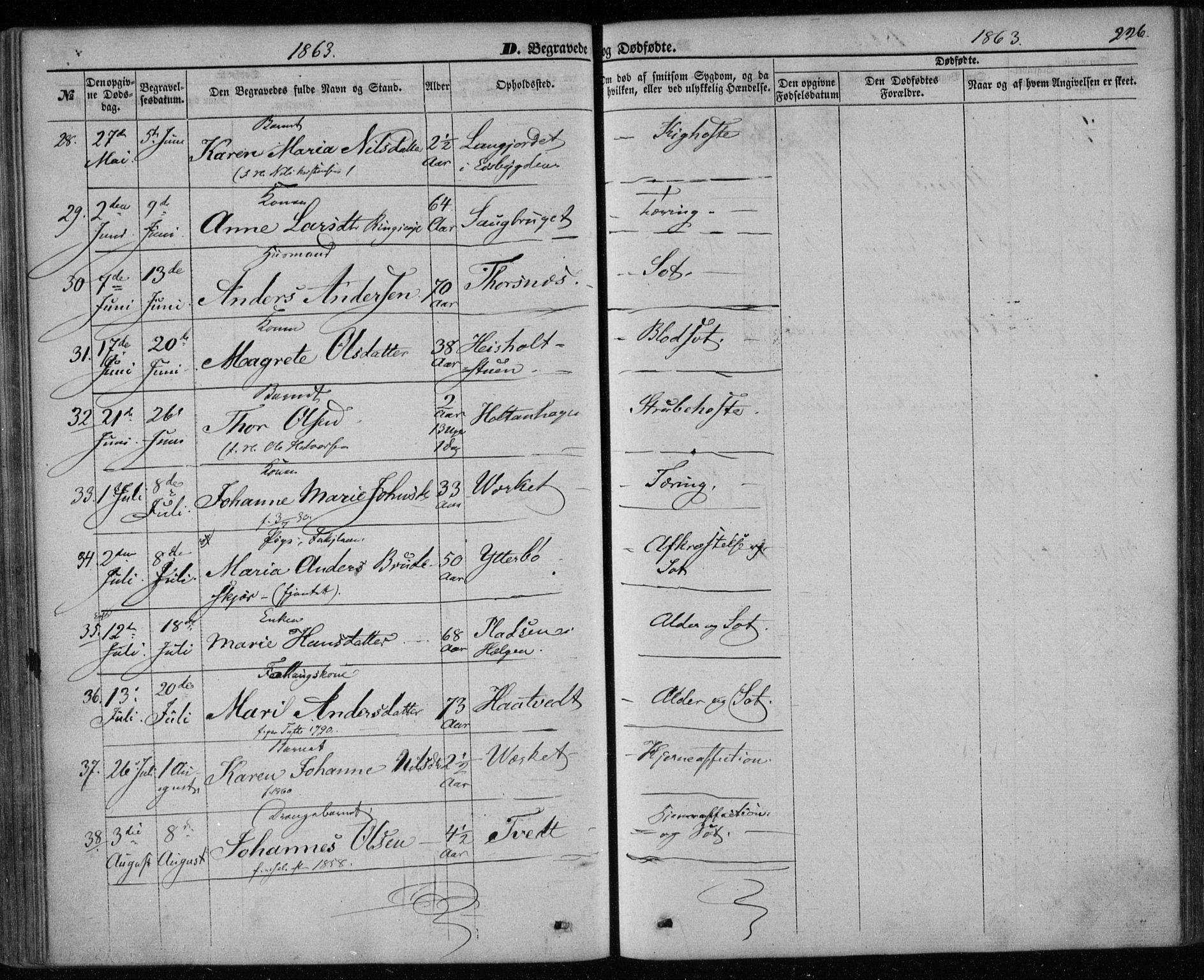 Holla kirkebøker, SAKO/A-272/F/Fa/L0006: Parish register (official) no. 6, 1861-1869, p. 226
