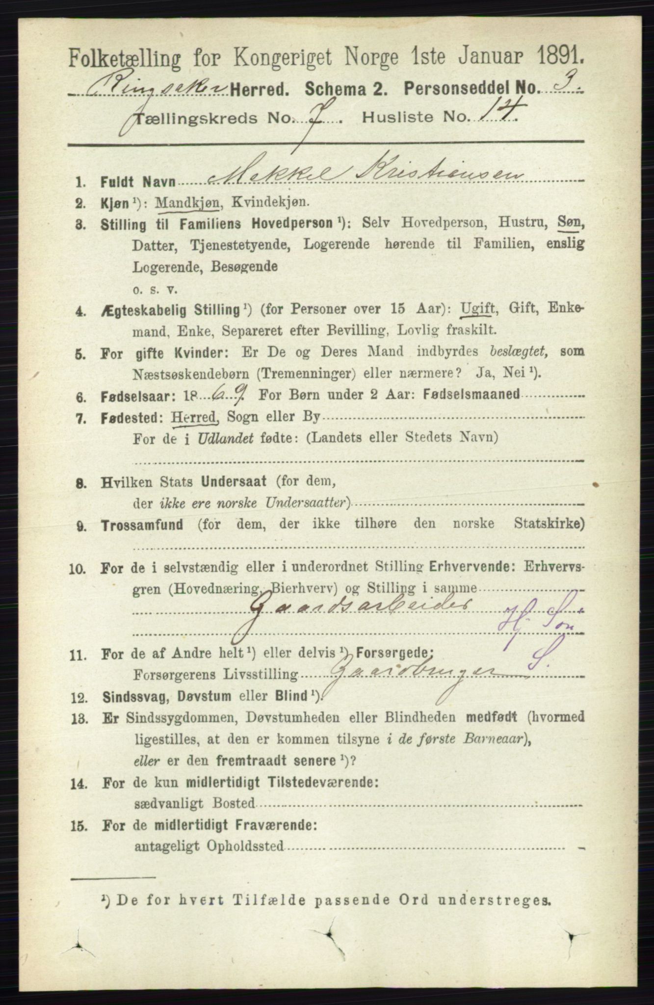 RA, 1891 census for 0412 Ringsaker, 1891, p. 3960