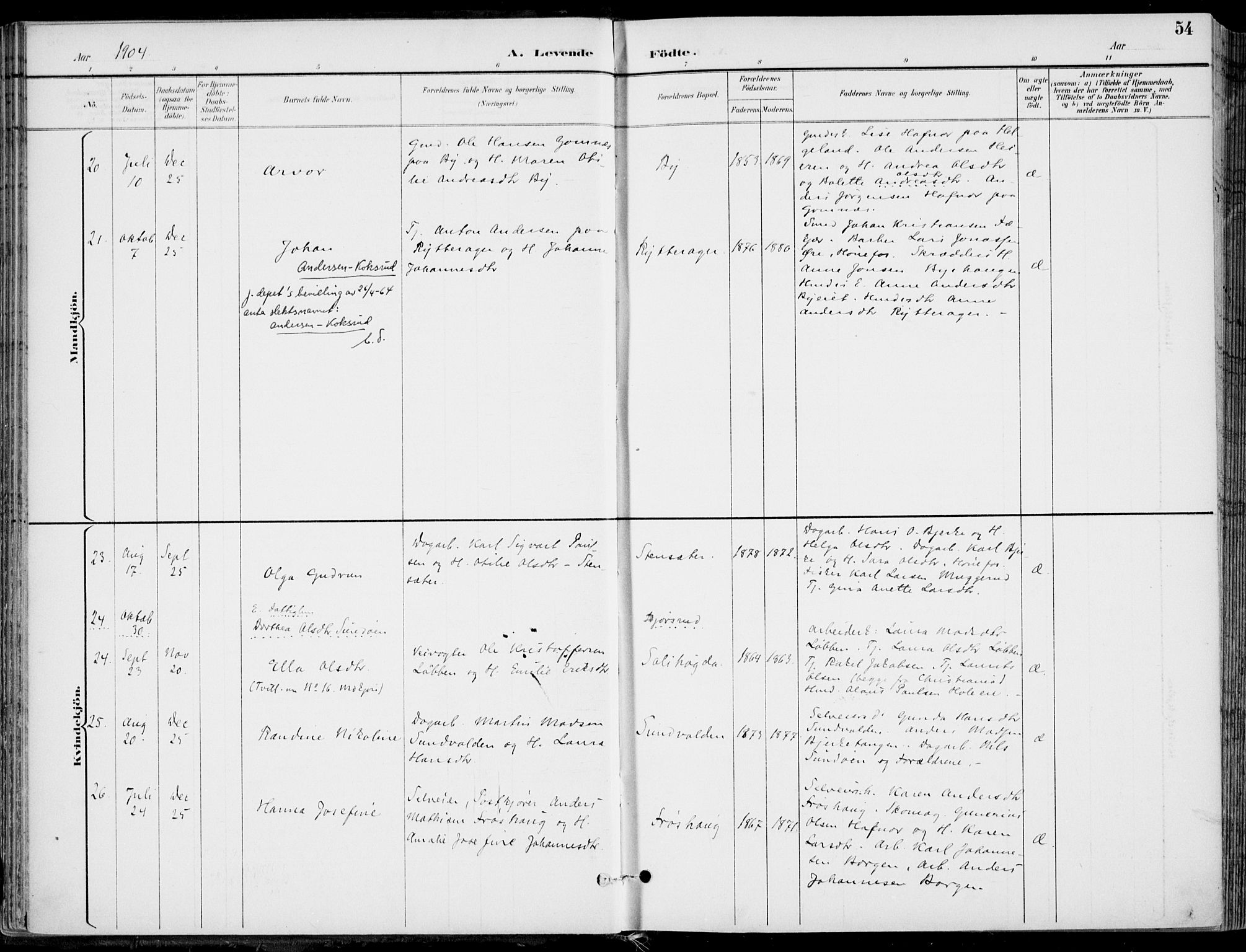 Hole kirkebøker, AV/SAKO-A-228/F/Fa/L0009: Parish register (official) no. I 9, 1892-1907, p. 54