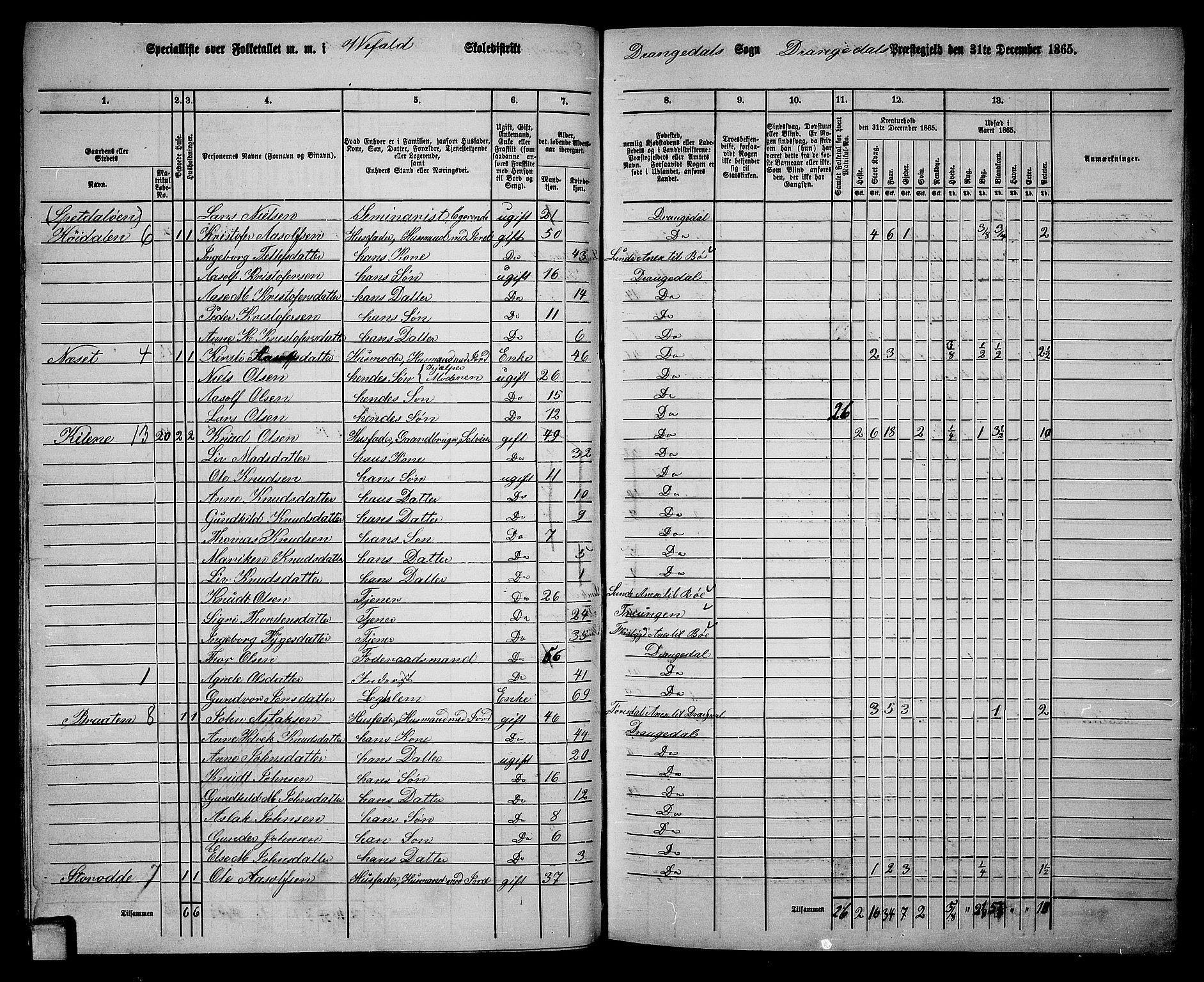 RA, 1865 census for Drangedal, 1865, p. 41