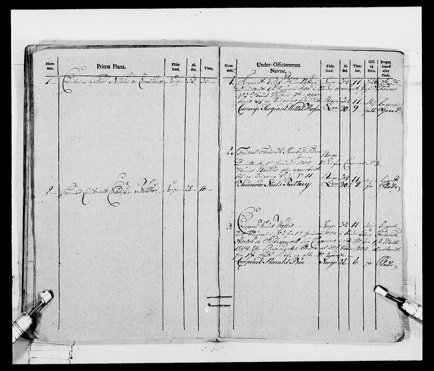 Generalitets- og kommissariatskollegiet, Det kongelige norske kommissariatskollegium, AV/RA-EA-5420/E/Eh/L0115: Telemarkske nasjonale infanteriregiment, 1802-1805, p. 437