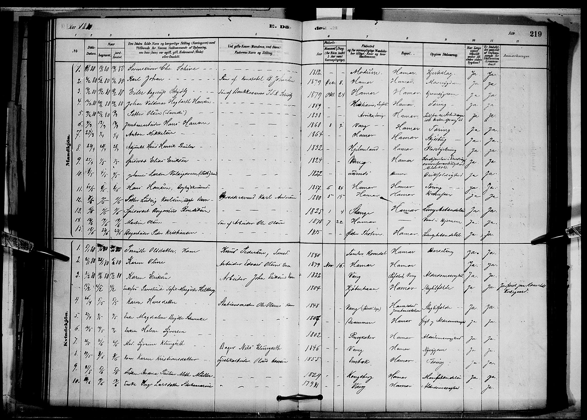 Vang prestekontor, Hedmark, SAH/PREST-008/H/Ha/Hab/L0012: Parish register (copy) no. 12, 1878-1889, p. 219