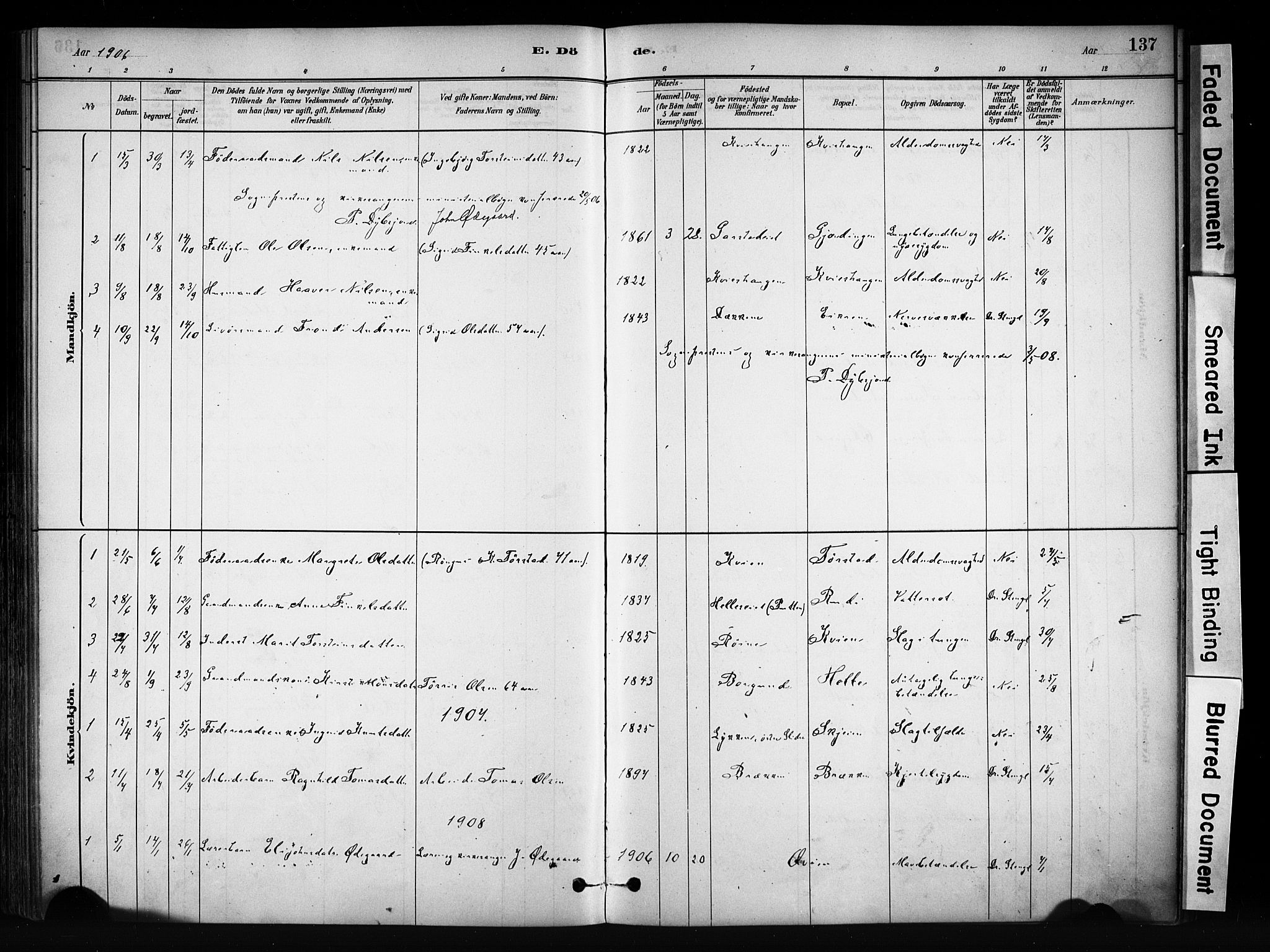 Vang prestekontor, Valdres, AV/SAH-PREST-140/H/Ha/L0009: Parish register (official) no. 9, 1882-1914, p. 137