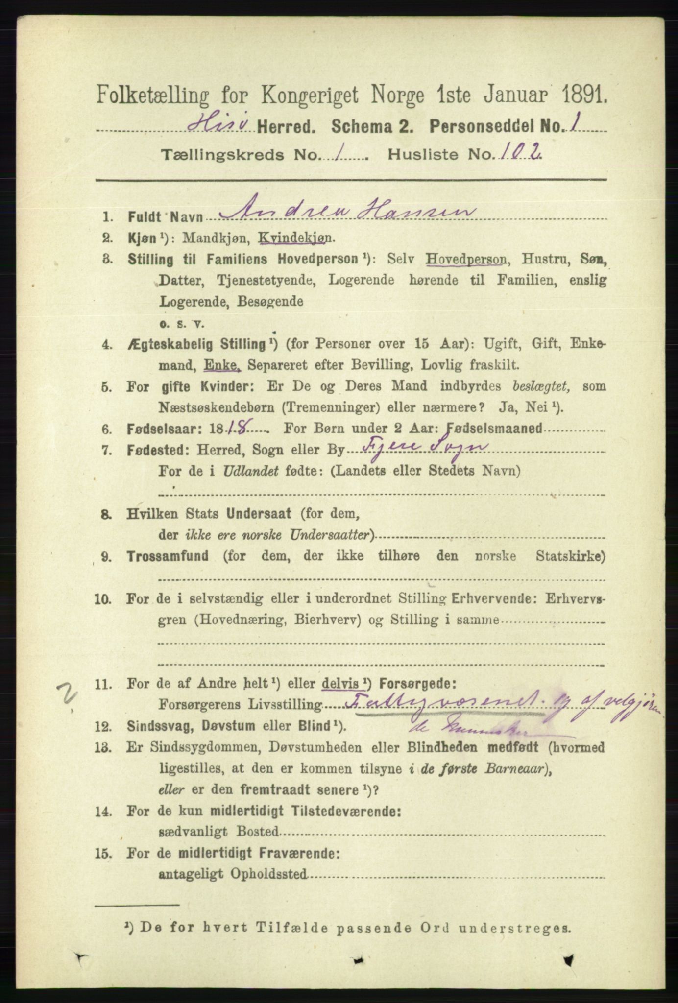 RA, 1891 census for 0922 Hisøy, 1891, p. 713