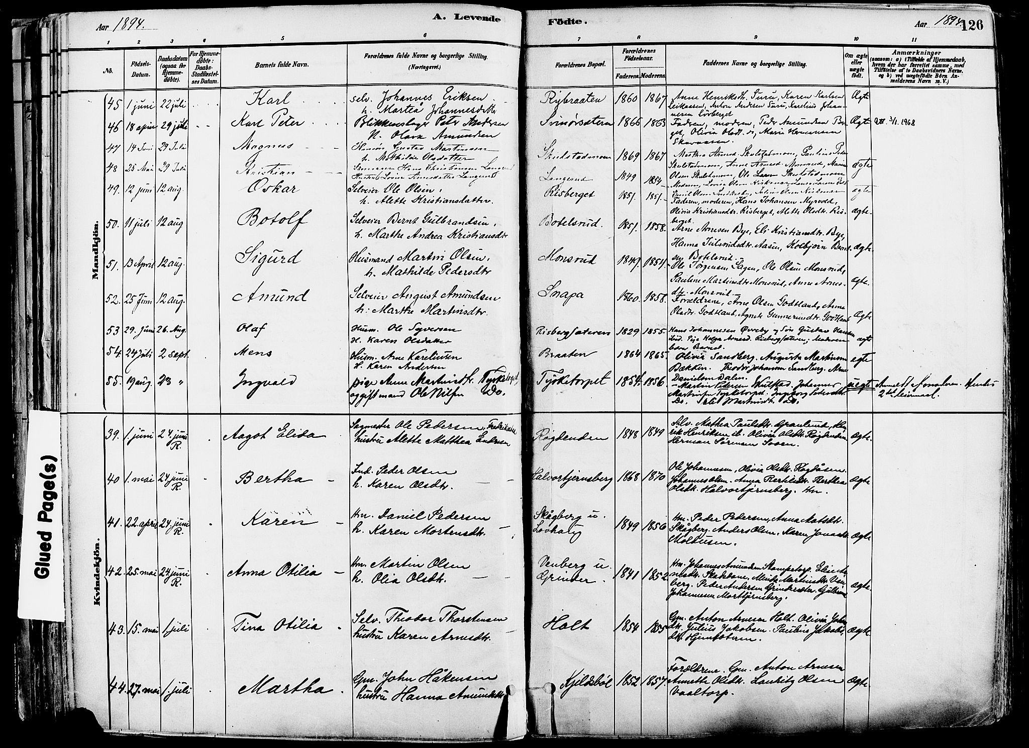 Grue prestekontor, SAH/PREST-036/H/Ha/Haa/L0012: Parish register (official) no. 12, 1881-1897, p. 126