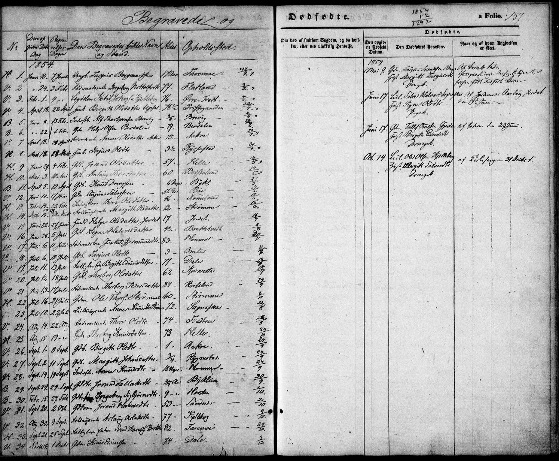 Valle sokneprestkontor, SAK/1111-0044/F/Fa/Fac/L0007: Parish register (official) no. A 7, 1854-1868, p. 157