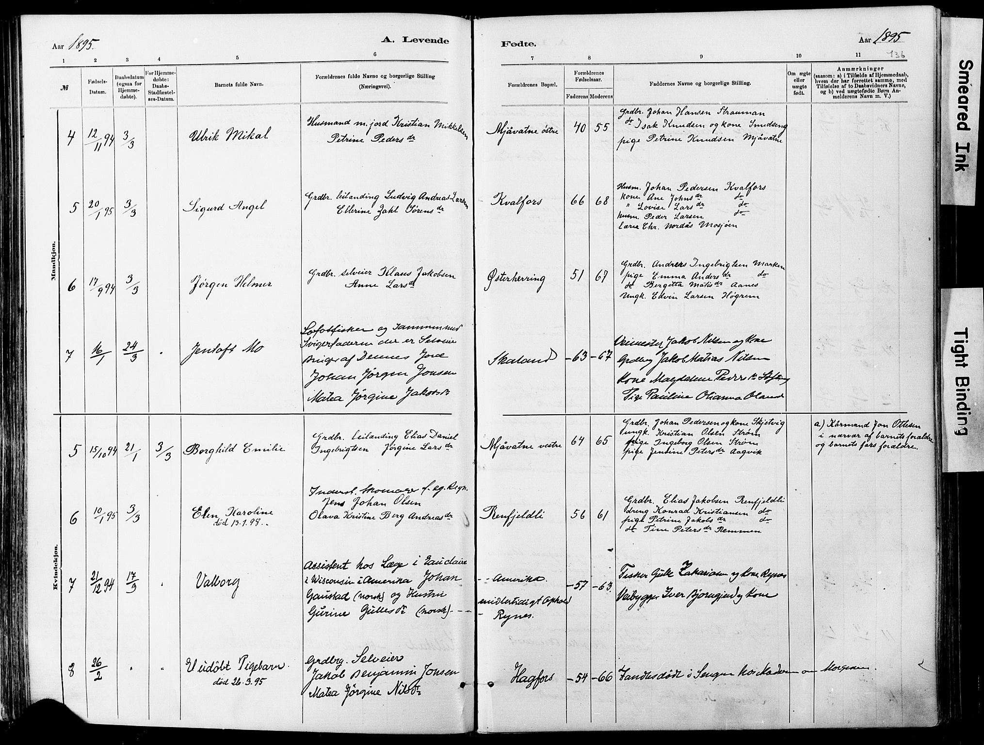Ministerialprotokoller, klokkerbøker og fødselsregistre - Nordland, SAT/A-1459/820/L0295: Parish register (official) no. 820A16, 1880-1896, p. 136
