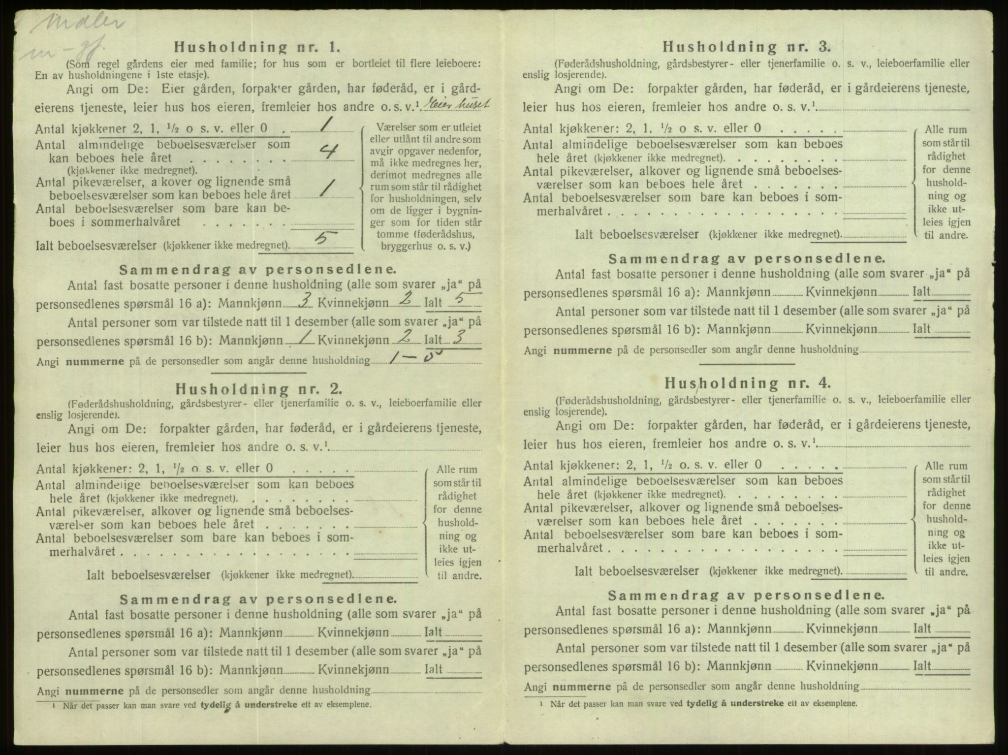 SAB, 1920 census for Hornindal, 1920, p. 210