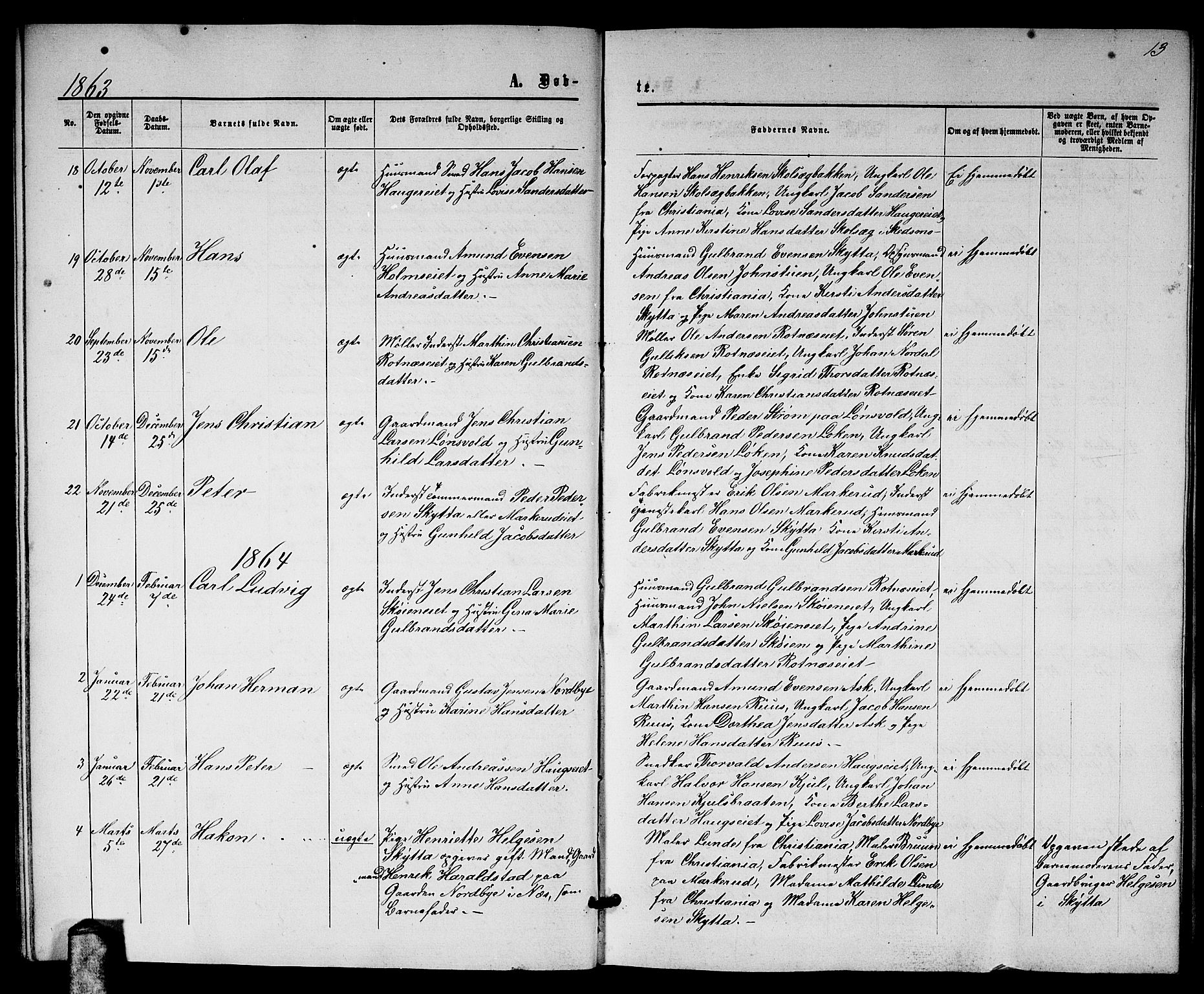 Nittedal prestekontor Kirkebøker, SAO/A-10365a/G/Ga/L0001: Parish register (copy) no. I 1, 1859-1878, p. 13