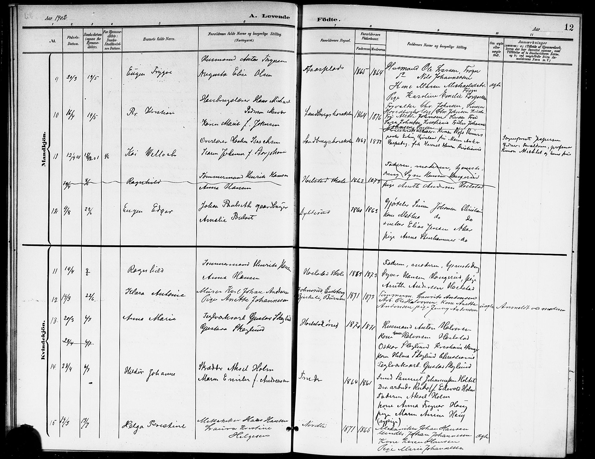 Ås prestekontor Kirkebøker, AV/SAO-A-10894/G/Ga/L0004: Parish register (copy) no. I 4, 1901-1915, p. 12