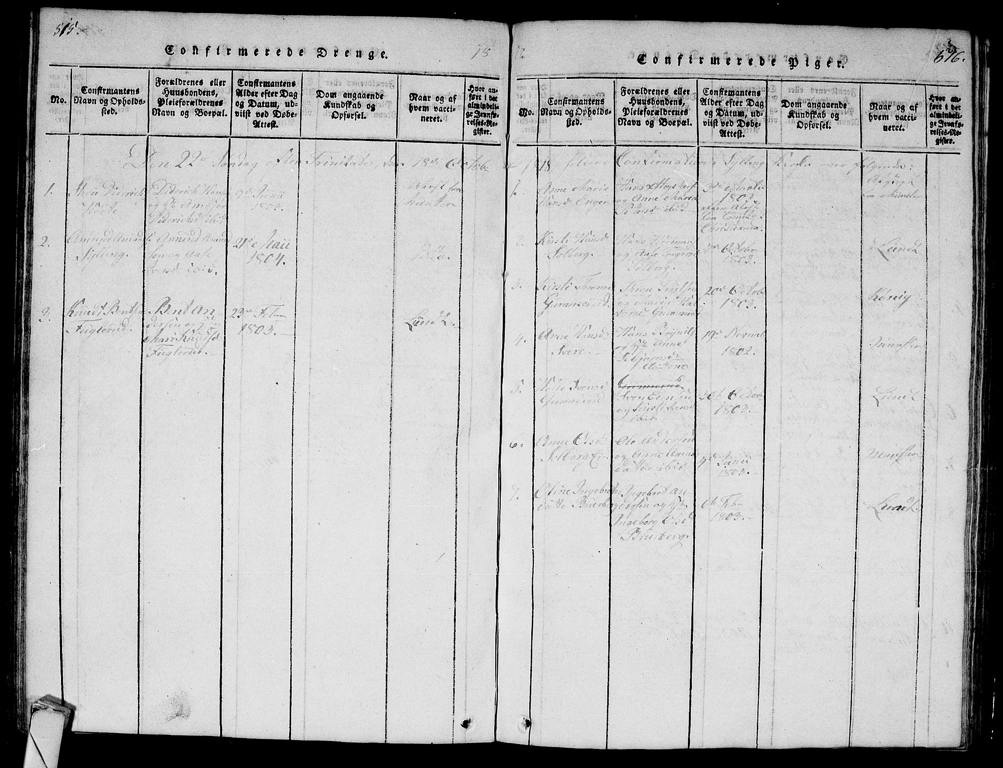 Lier kirkebøker, AV/SAKO-A-230/G/Ga/L0001: Parish register (copy) no. I 1, 1813-1824, p. 515-516